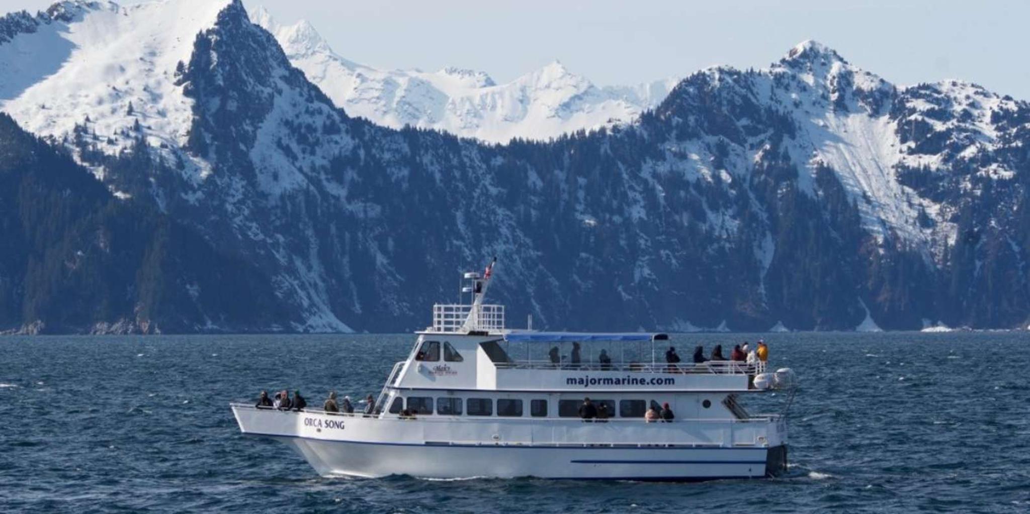Seward Wildlife Cruise in Spring - Image 1