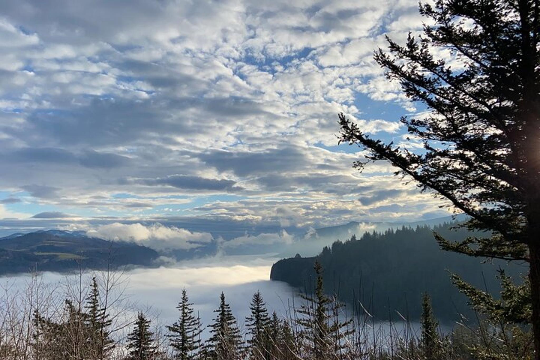 Portland Columbia Gorge Scenic Bikeway Full Day Ride - Image 2