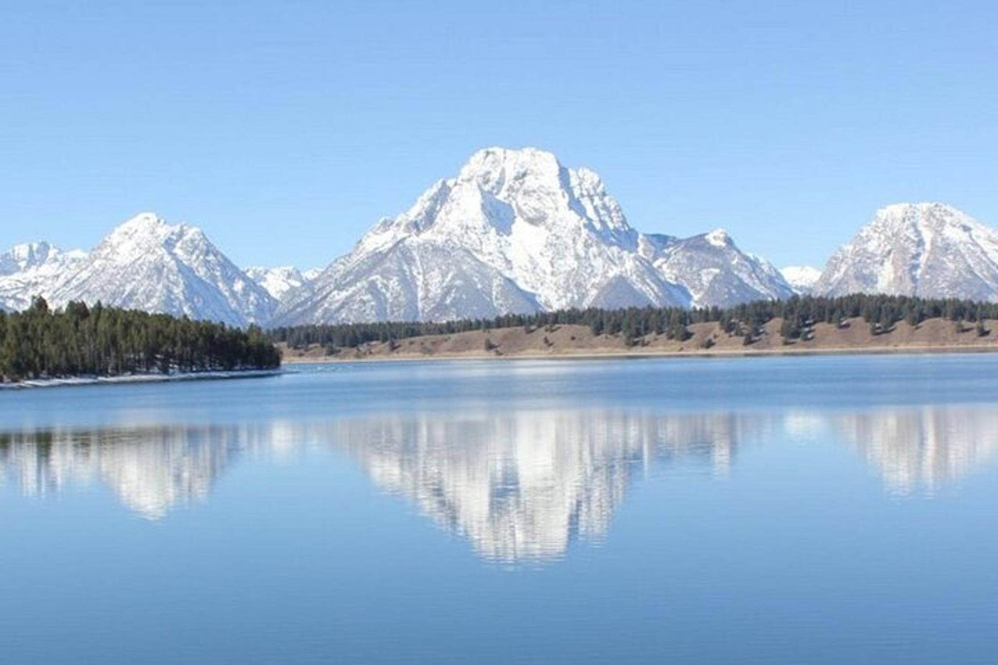 Jackson Hole Winter Wildlife Tour - Image 4