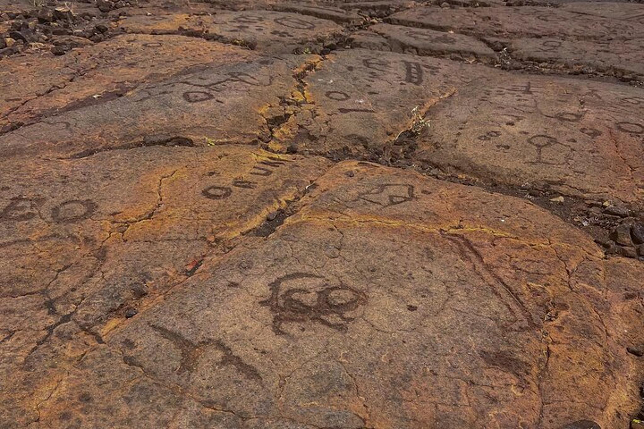 Kona History & Farmer's Market Tour - Image 3