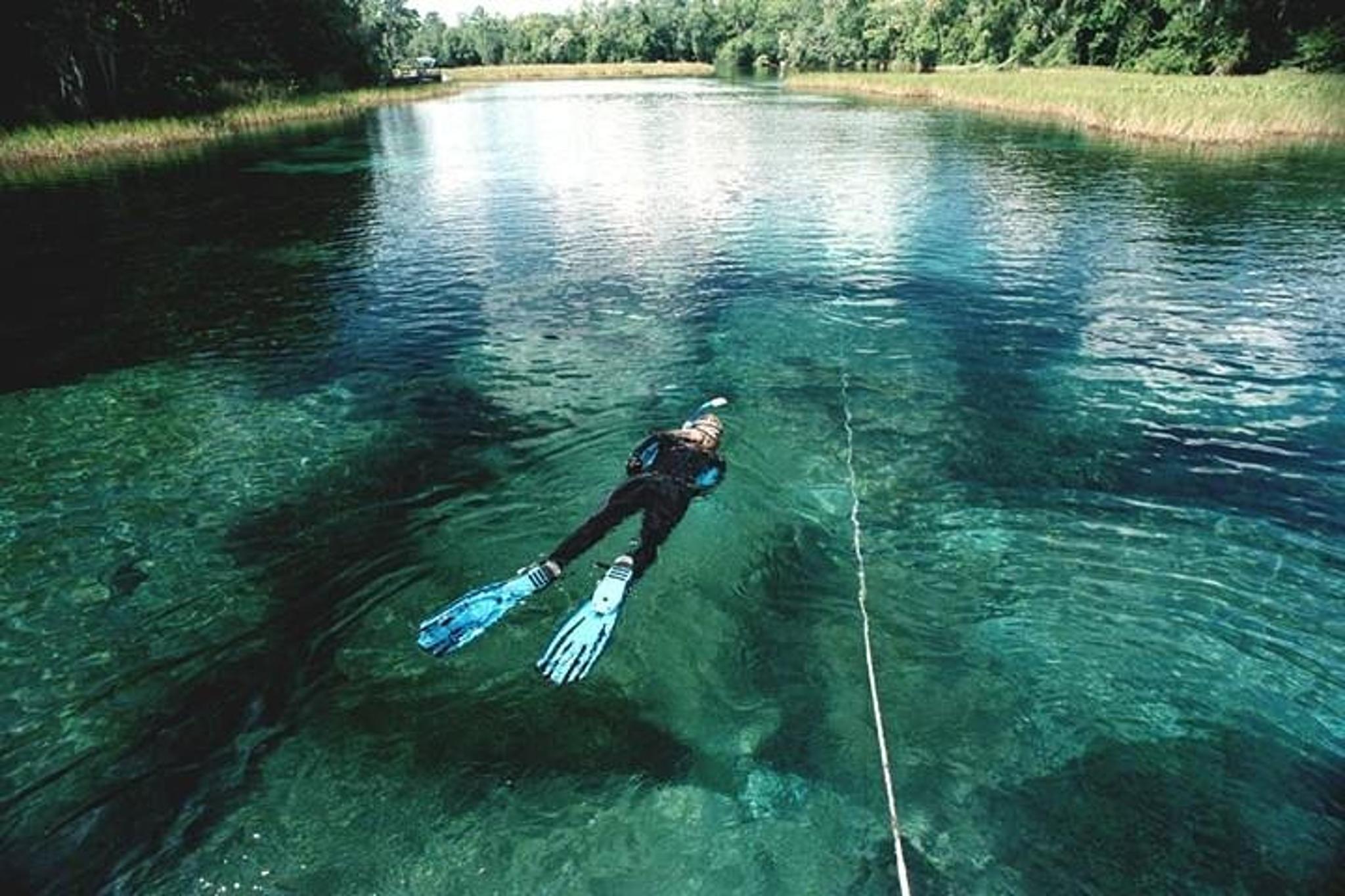 Florida Rainbow River Snorkel or Dive Tour - Image 2