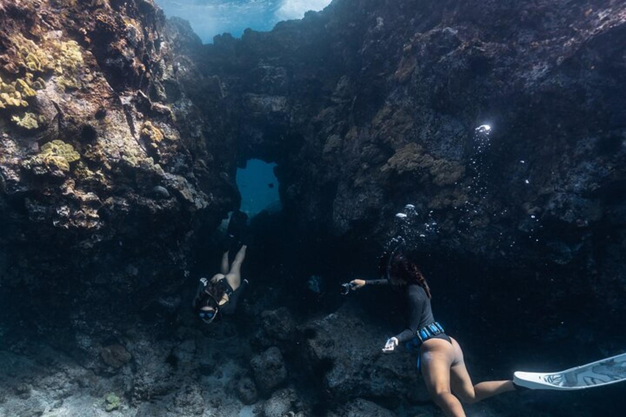 Kealakekua Bay Snorkel and Dolphin Watch - Image 3