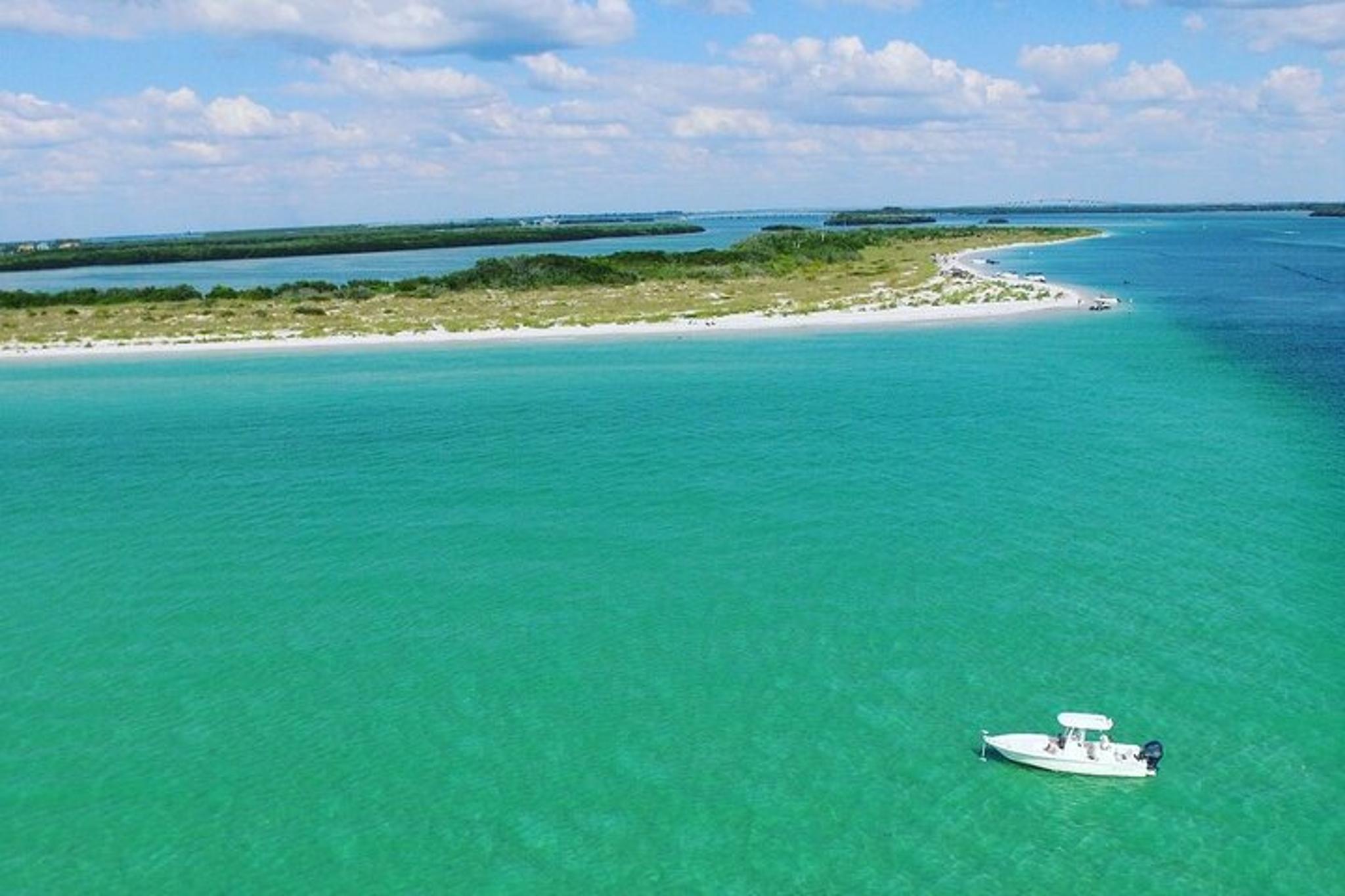 St. Petersburg Dolphin Watching and Island Excursion - Image 2