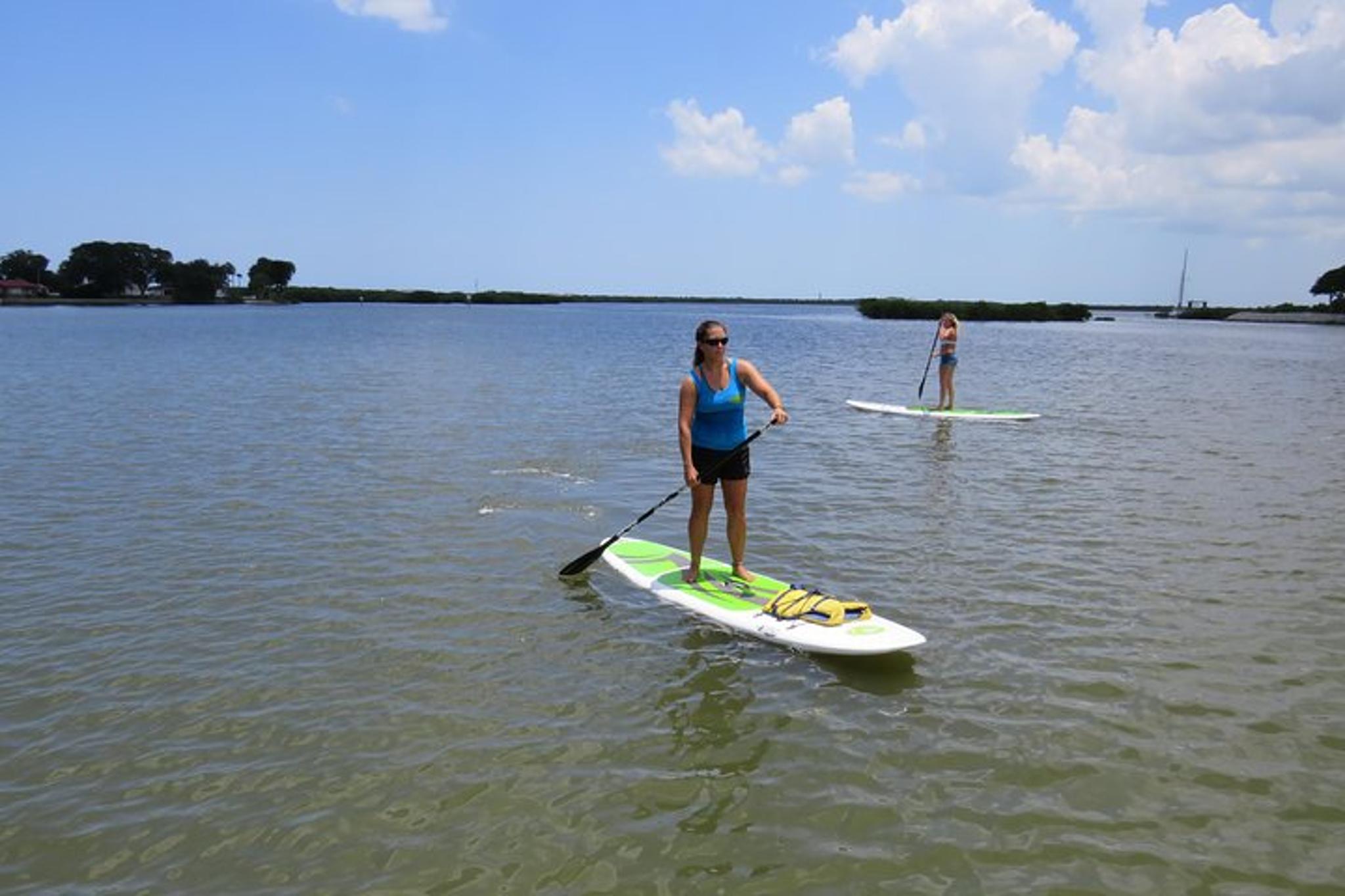 Rose Bay Stand Up Paddle Board Rental - Image 2