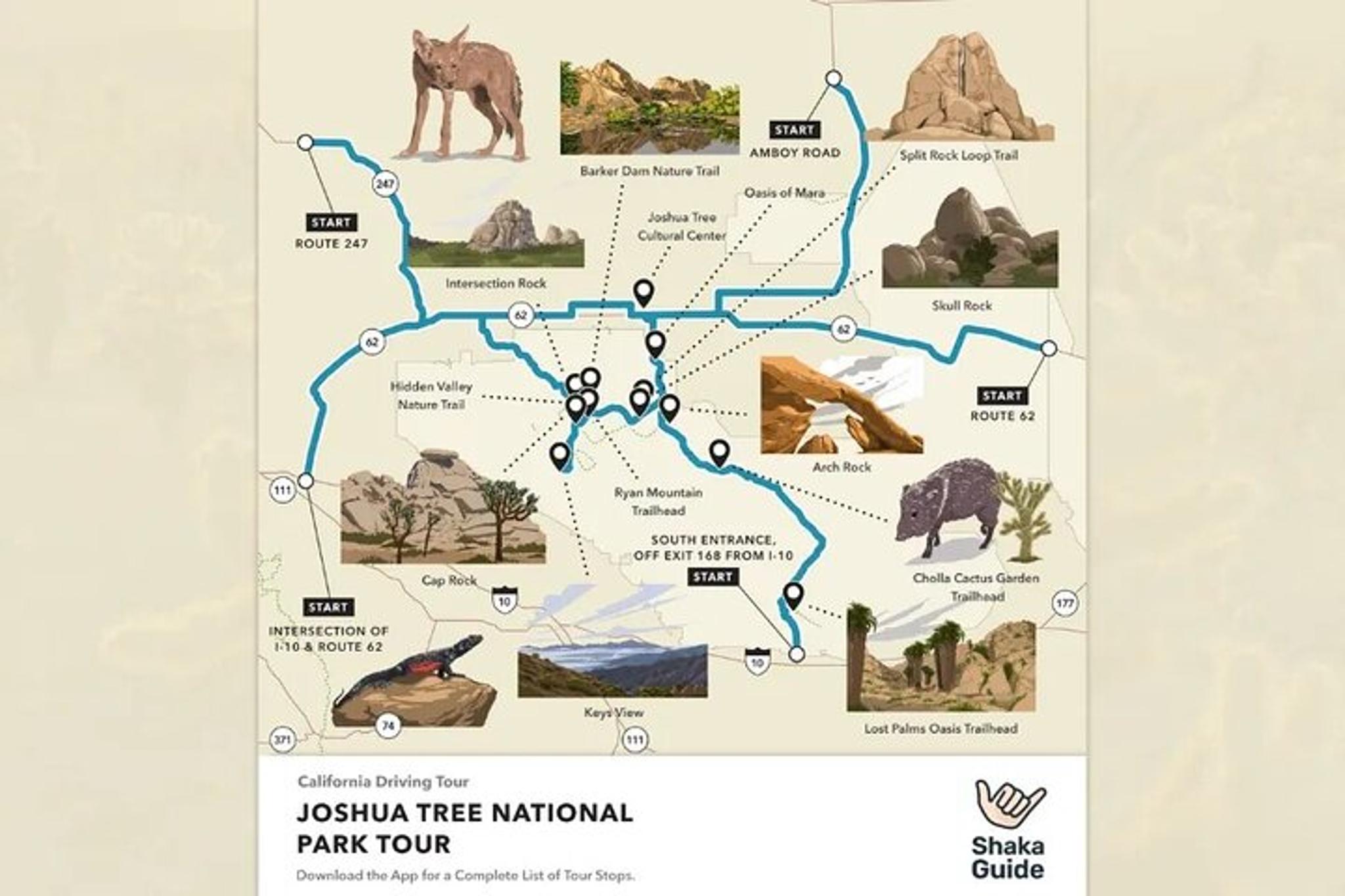 Joshua Tree National Park Self-Guided Audio Tour - Image 5