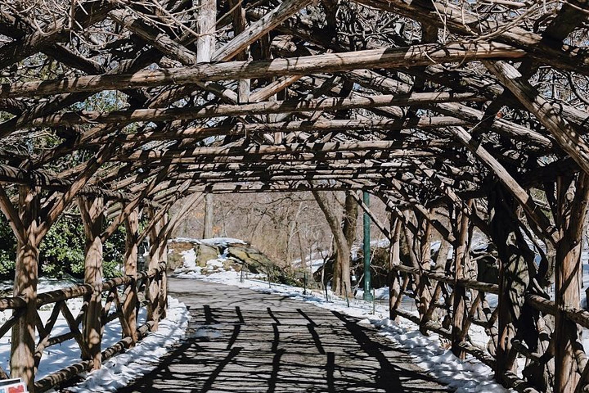 New York Central Park Guided Walking Tour - Image 3