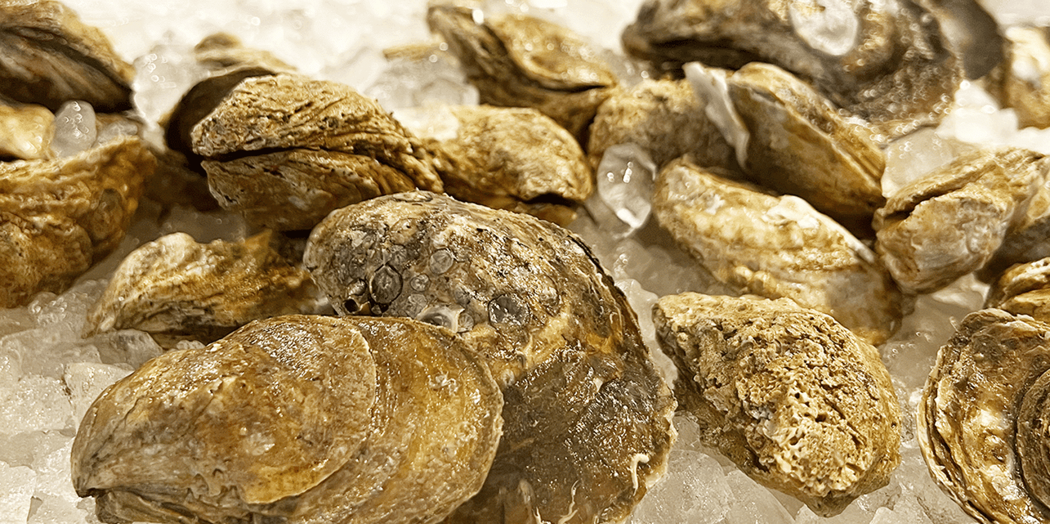 Savannah Southern Food Tour - Image 4