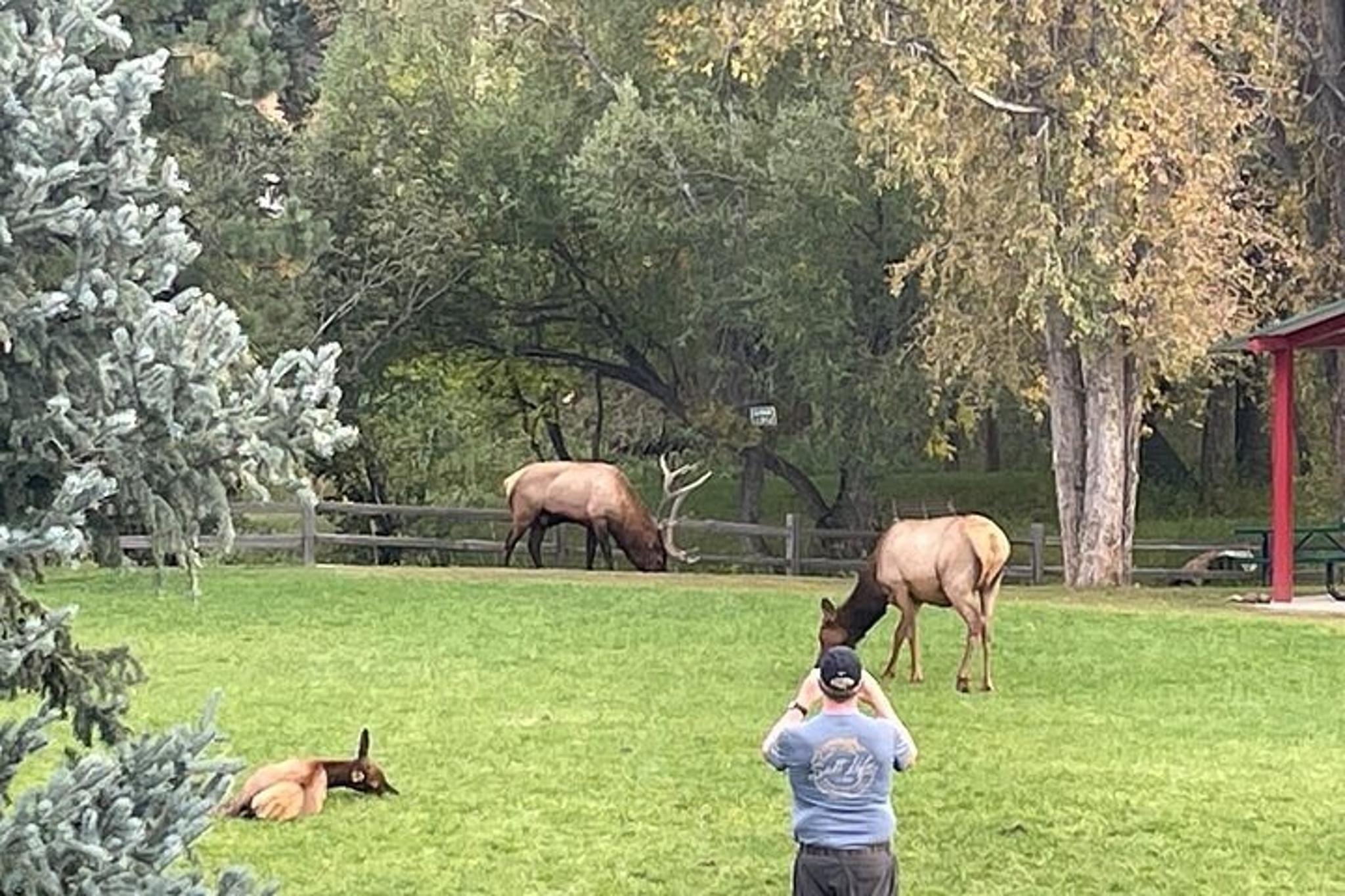 Denver Mountain Sunset Tour - Image 6