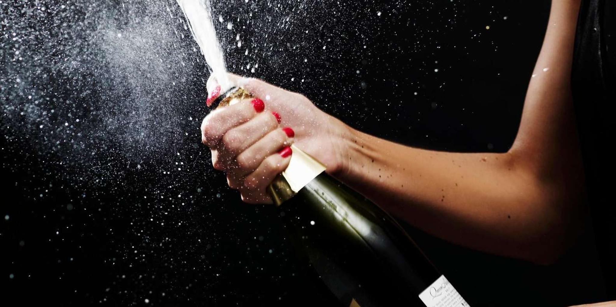 Traverse City Wine Tour with Champagne Bubbly - Image 4