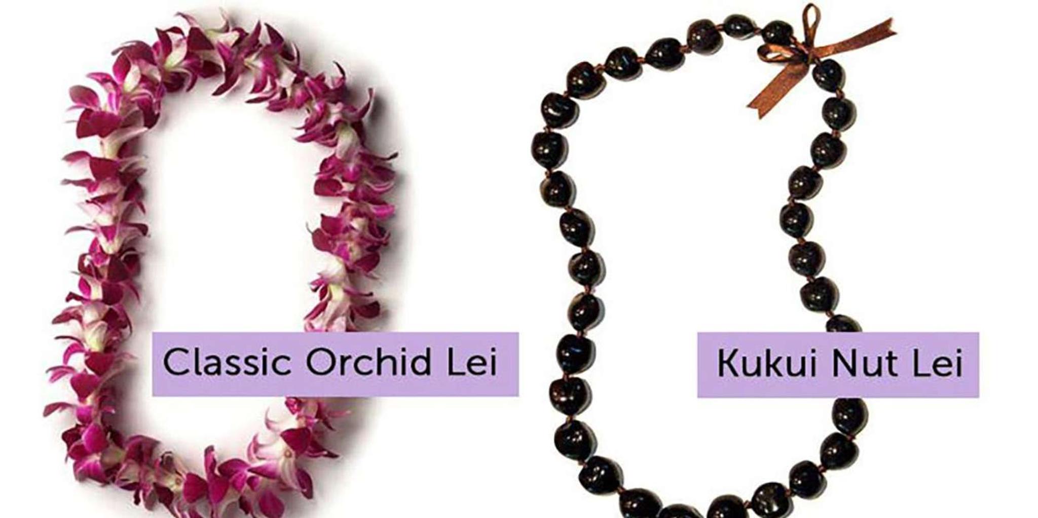 Maui Airport Lei Greeting - Image 3