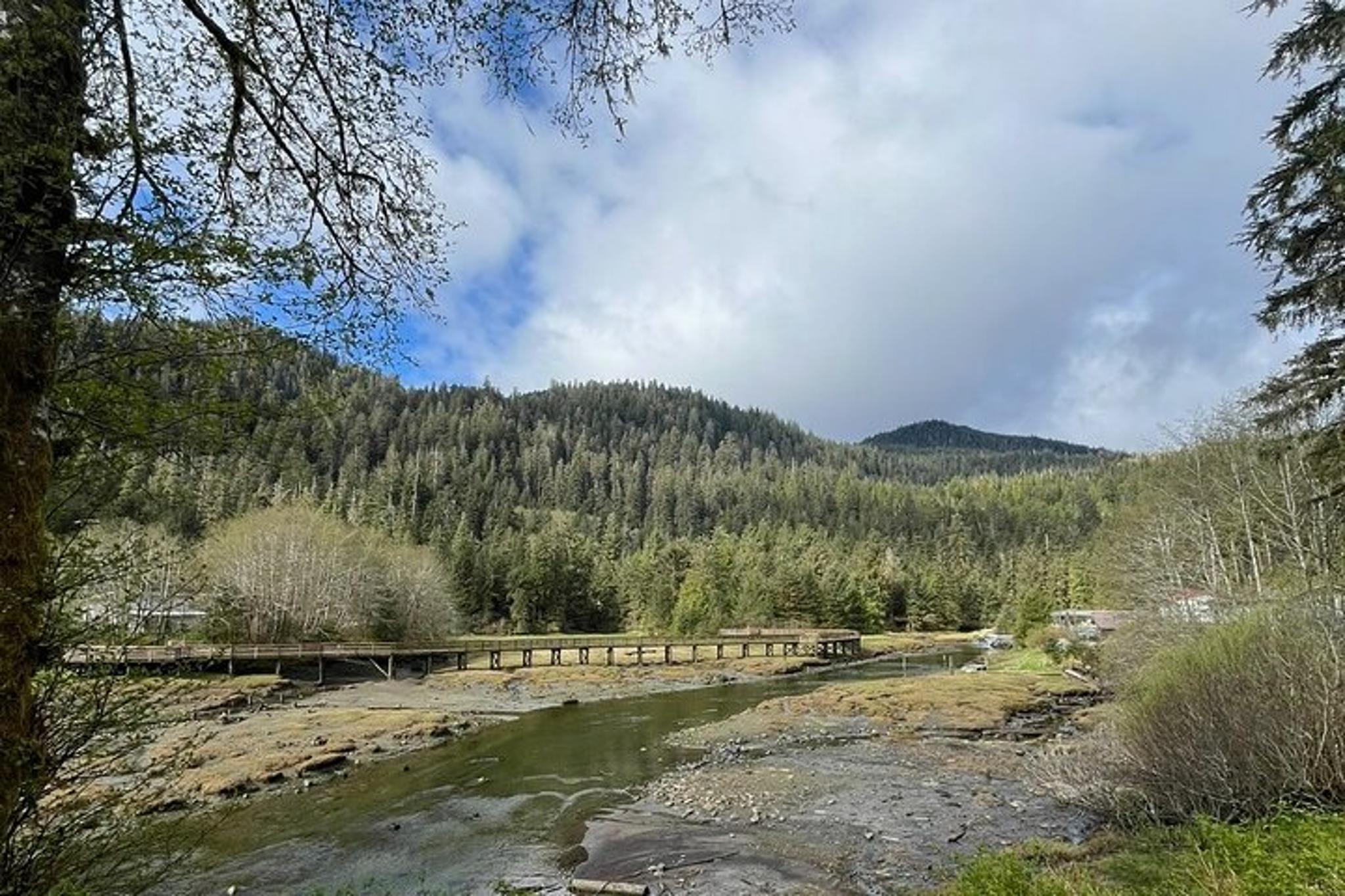 Ketchikan Sightseeing and Totem Parks Tour 2 hr - Image 3