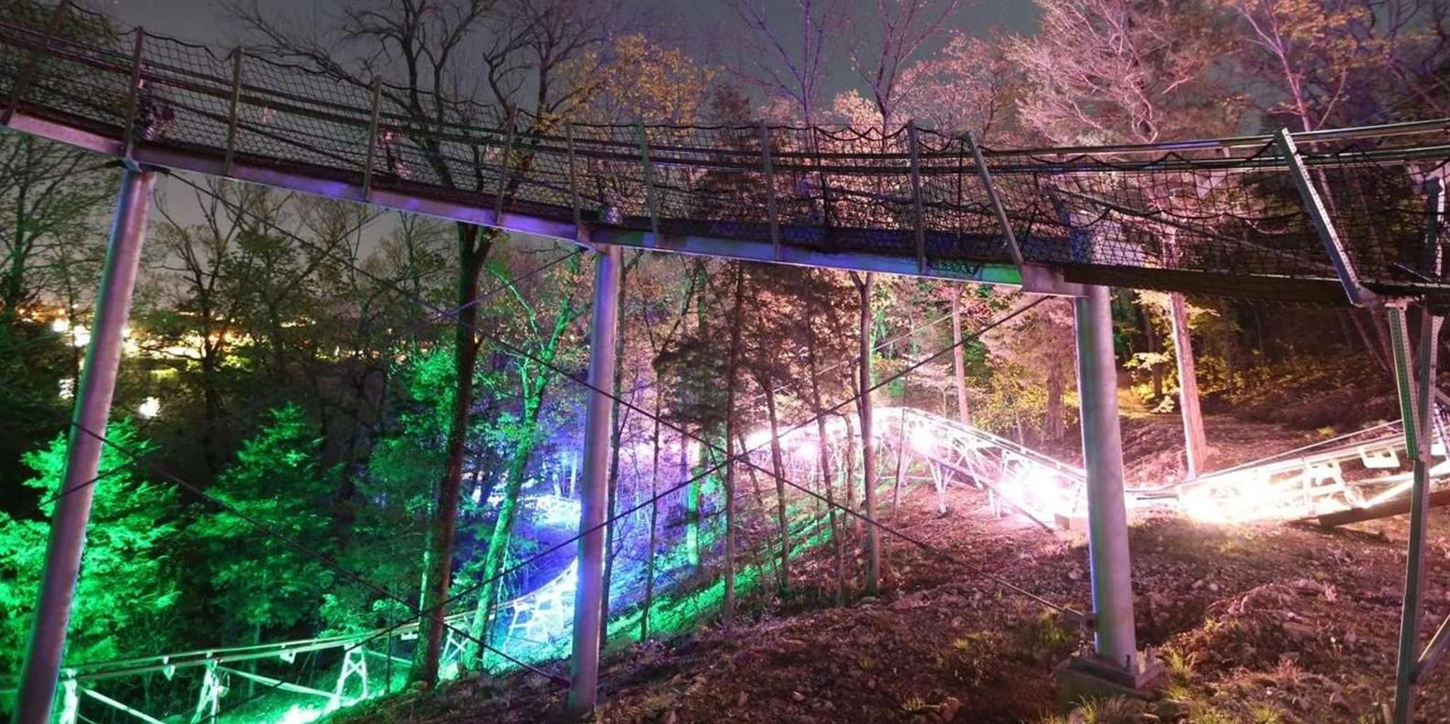 Branson Mountain Coaster Ride - Image 4