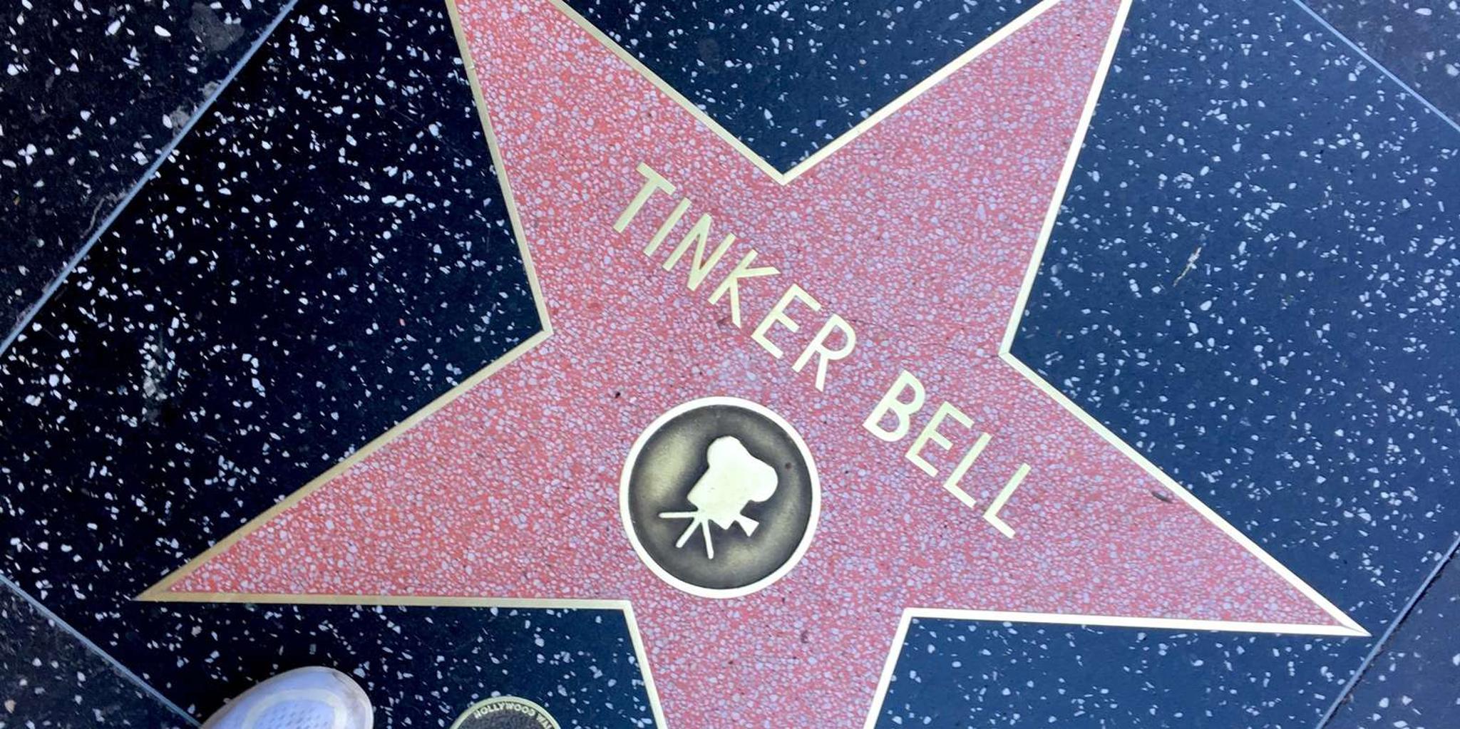 Los Angeles City Tour with Hollywood & Beaches - Image 3