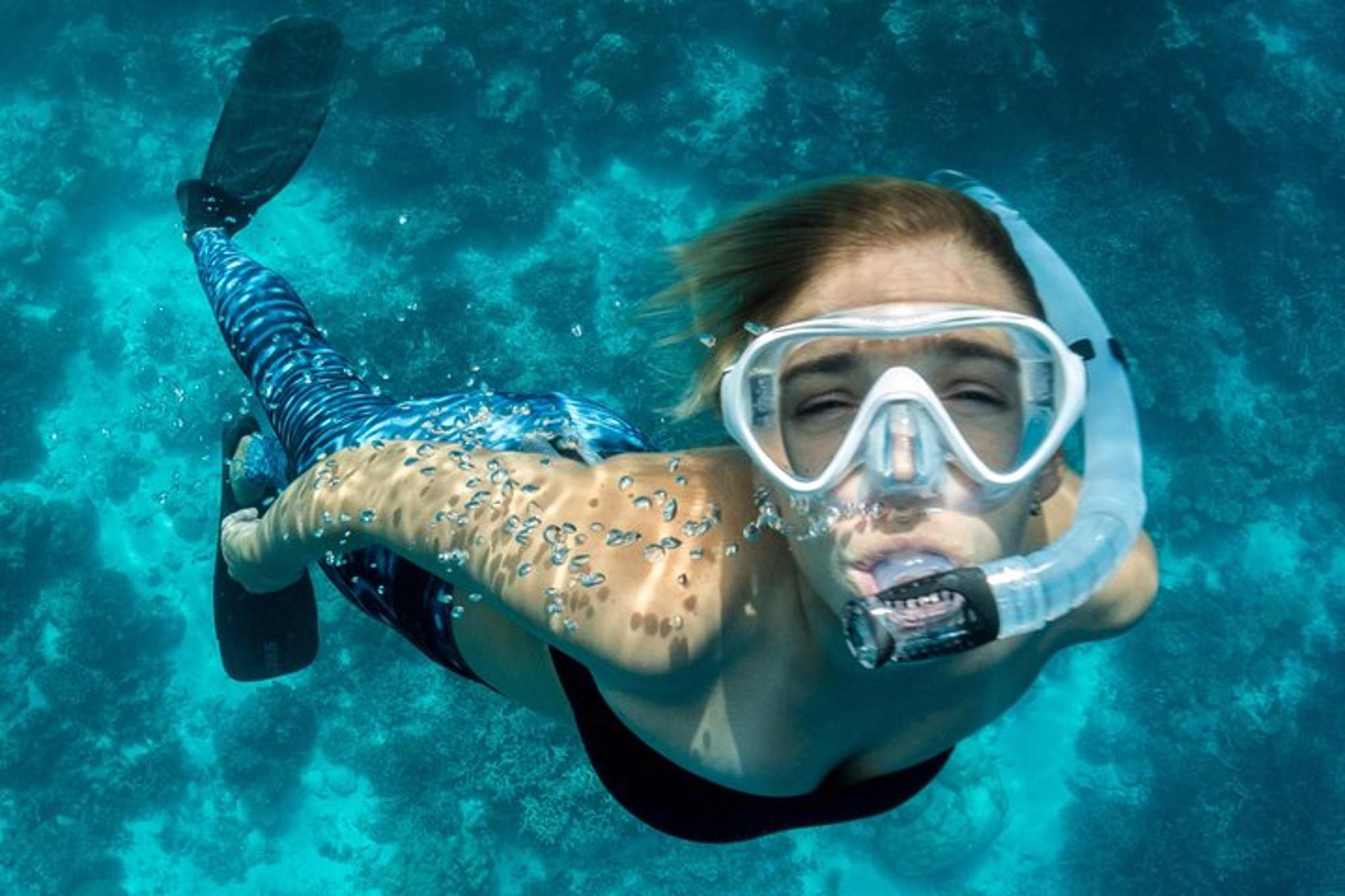 La Jolla Snorkeling Adventure 75 Min - Image 2