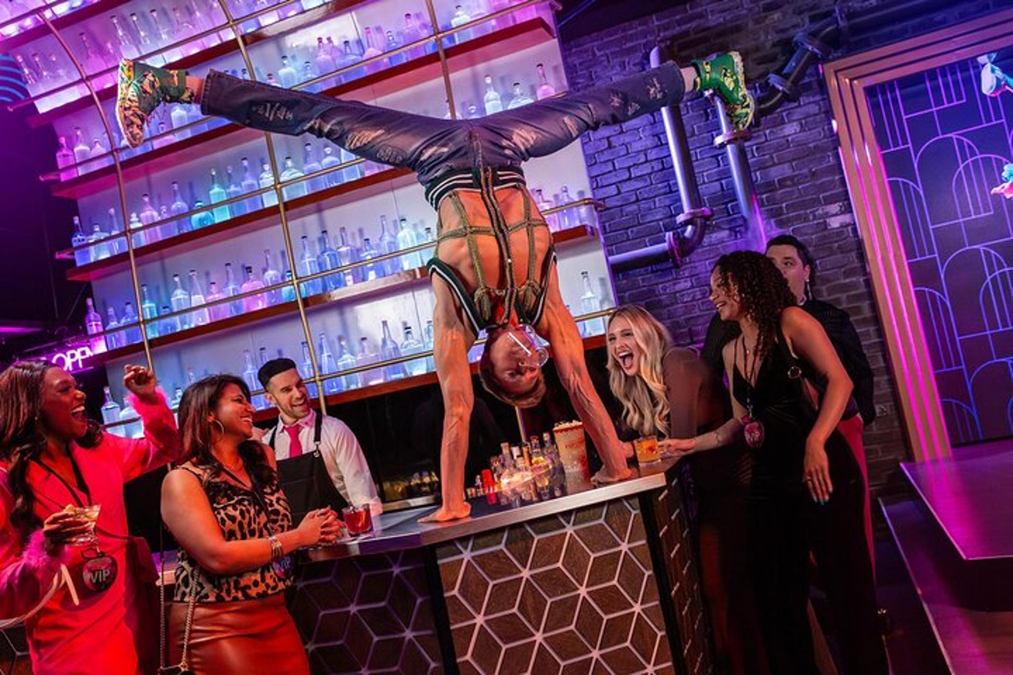 Las Vegas Cirque du Soleil Show VIP Experience