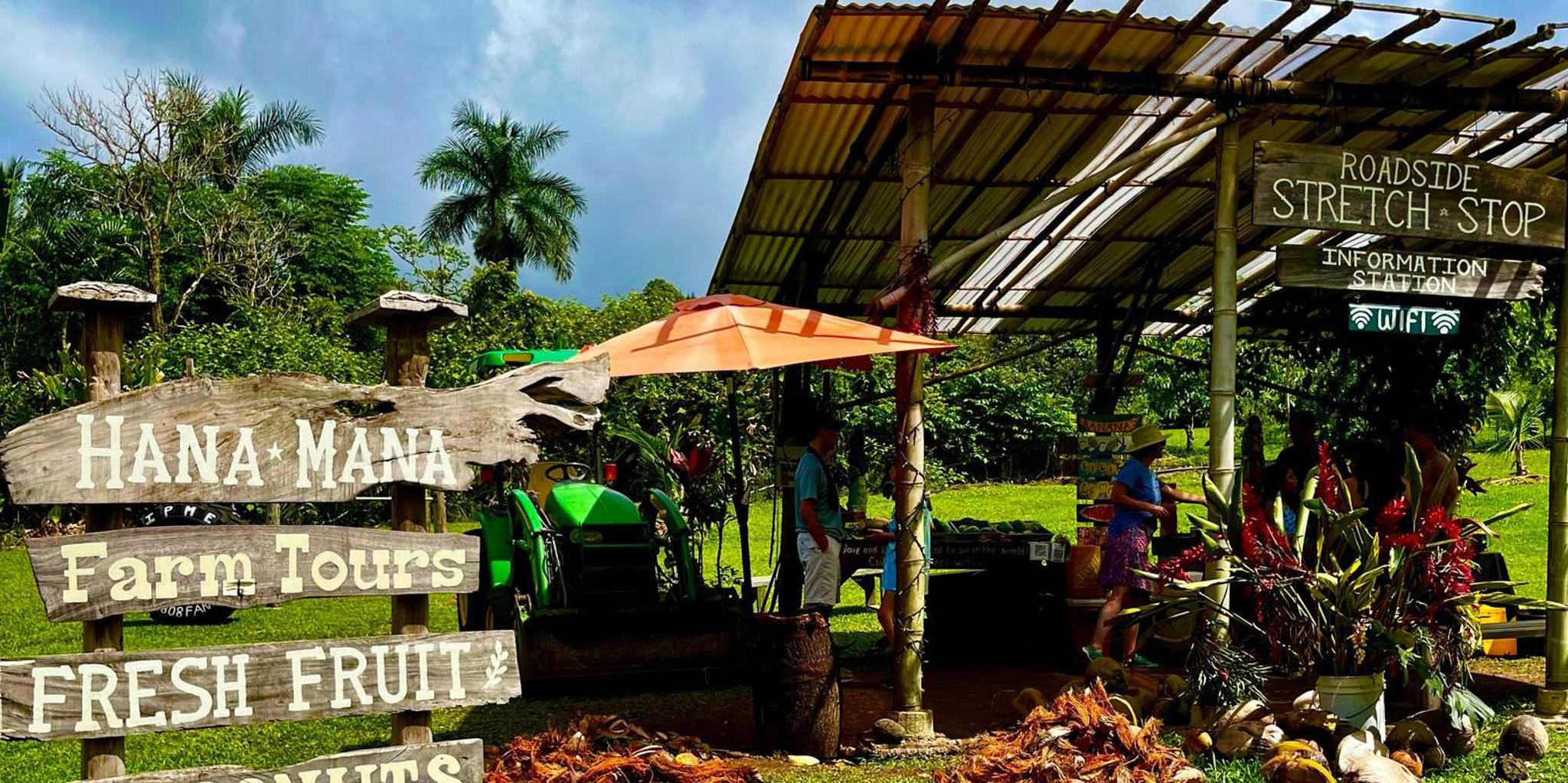 Maui Road to Hana Private Tour in Convertible SUV - Image 4