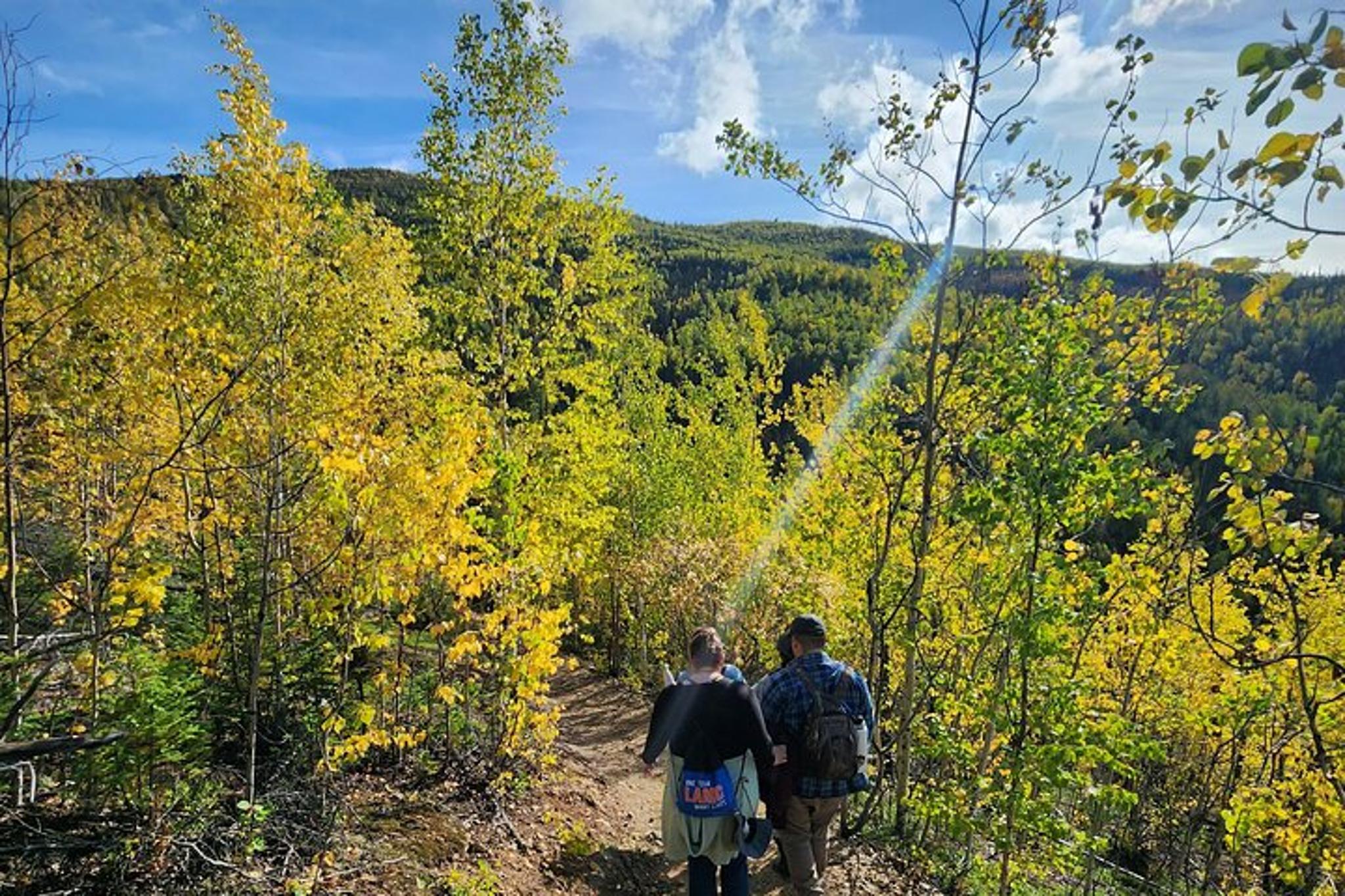 Fairbanks Angel Rocks Hike and Chena Hot Springs Tour - Image 2