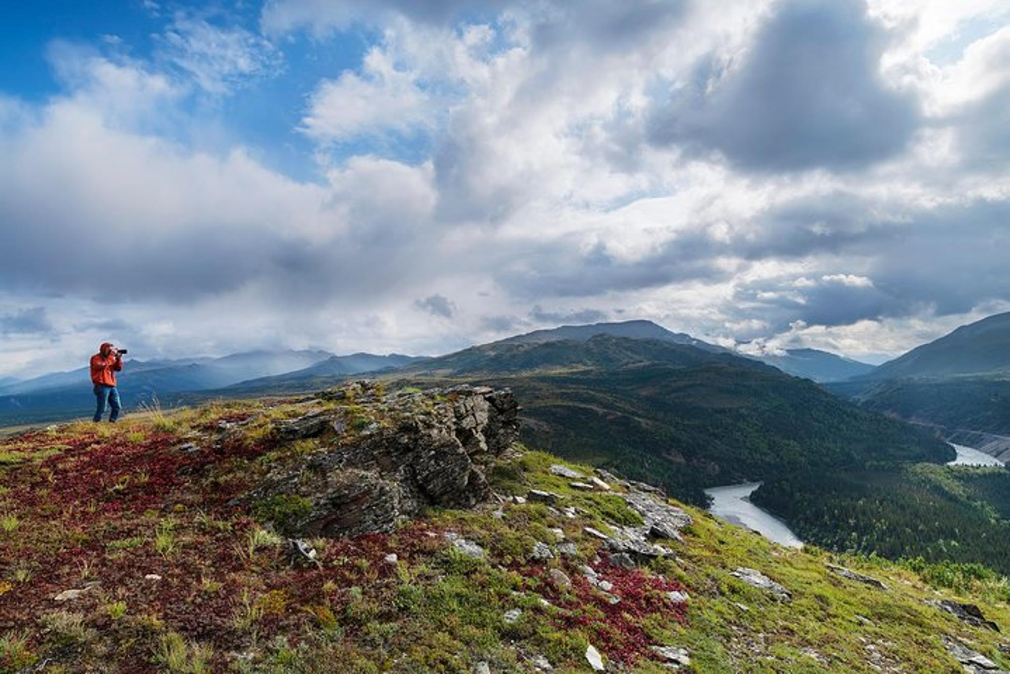 Denali Helicopter Photo Excursion - Image 3