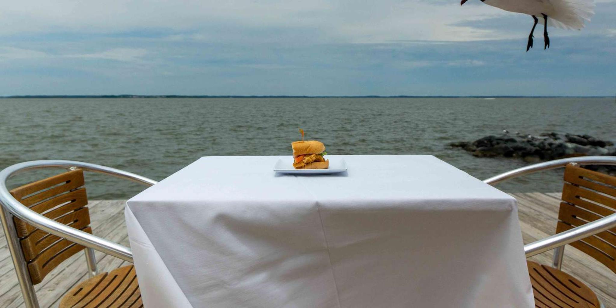 Ocean City Bay Hopping Food Boat Tour - Image 5