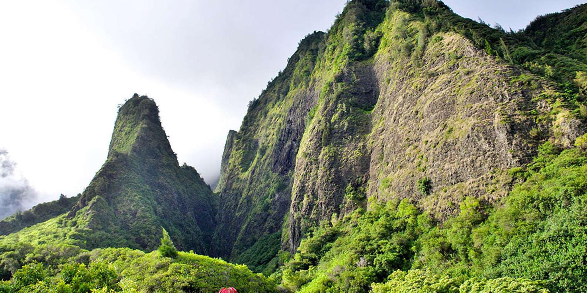 Maui Sips, Sites, and Bites Tour - Image 5