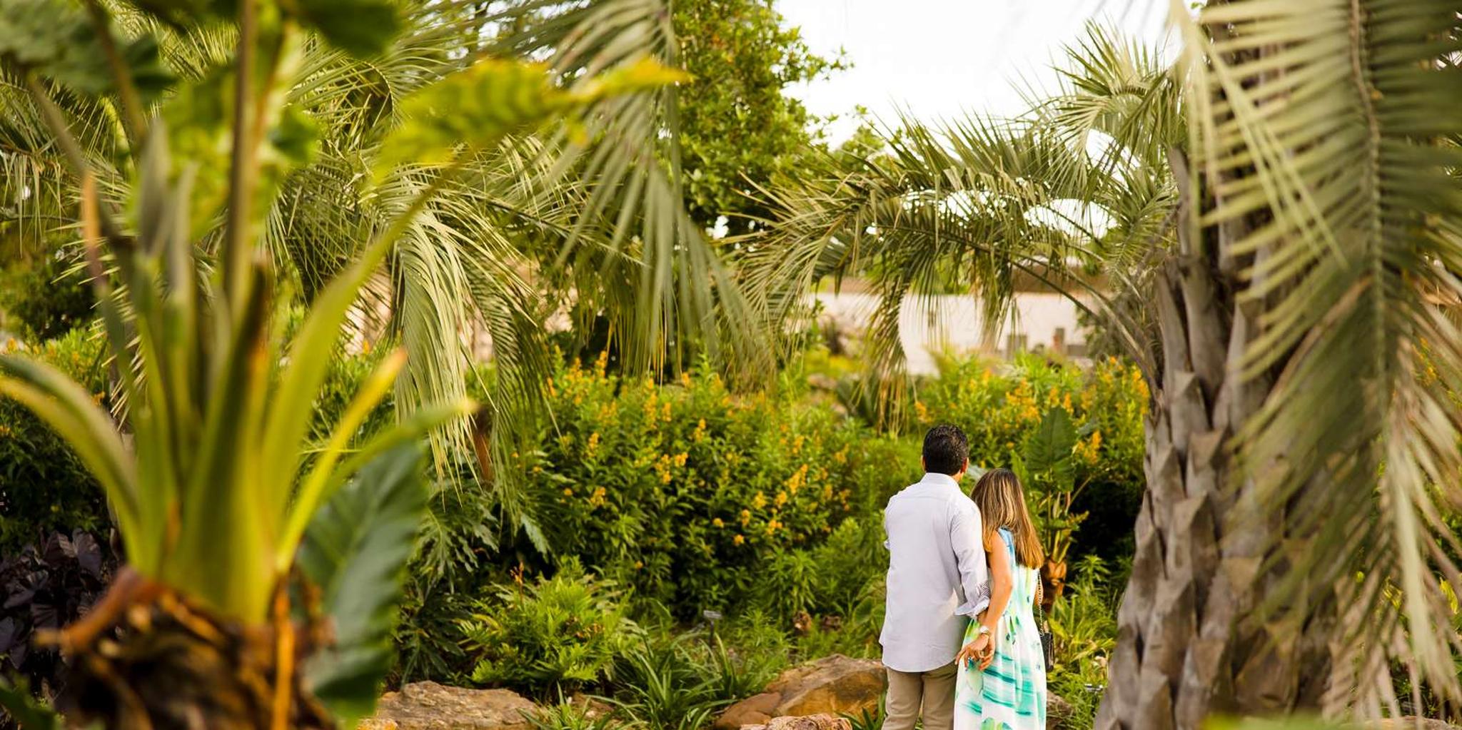 Houston Museum and Garden Experience