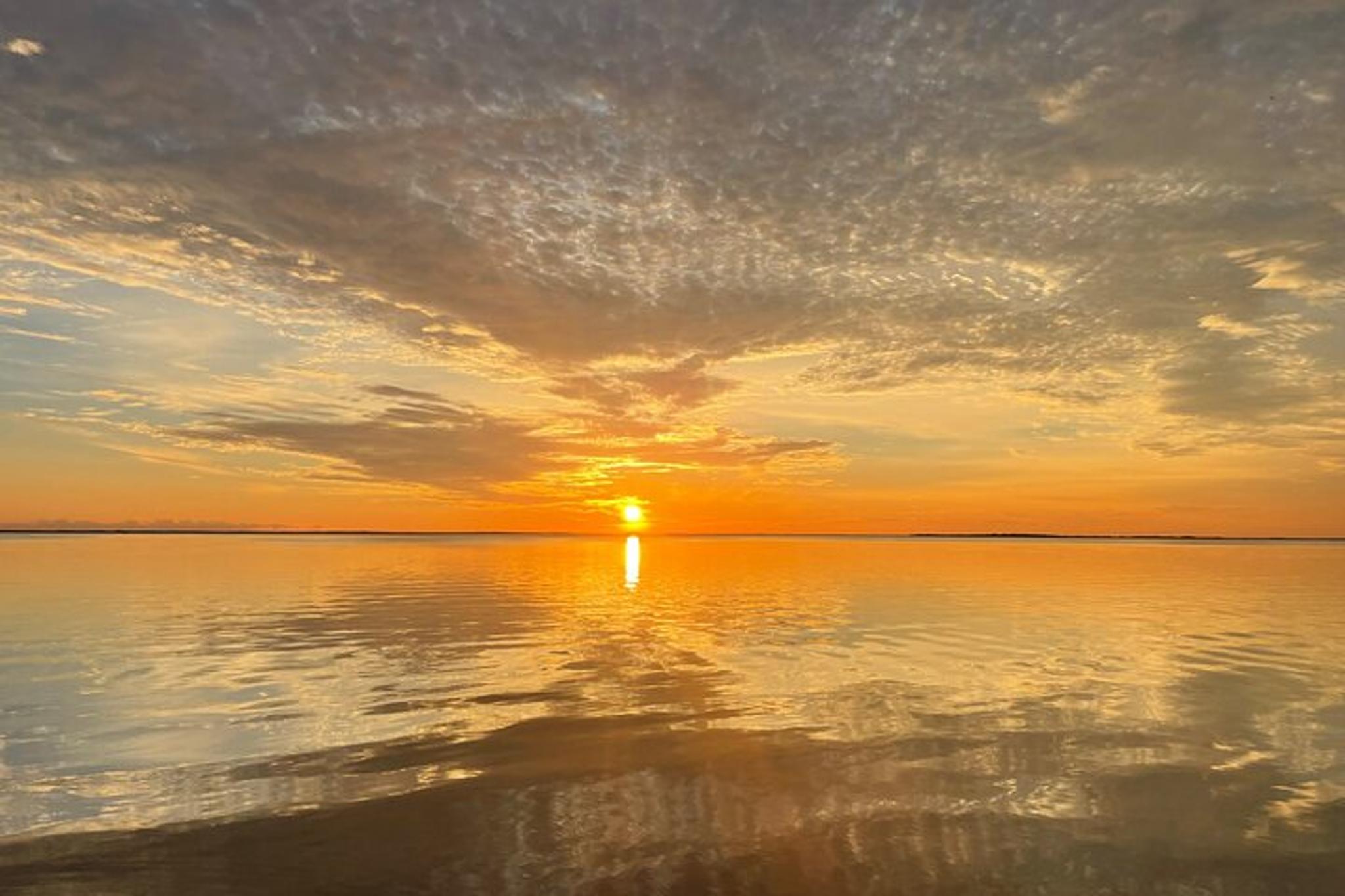 Key Largo Dolphin Sunset Tour
