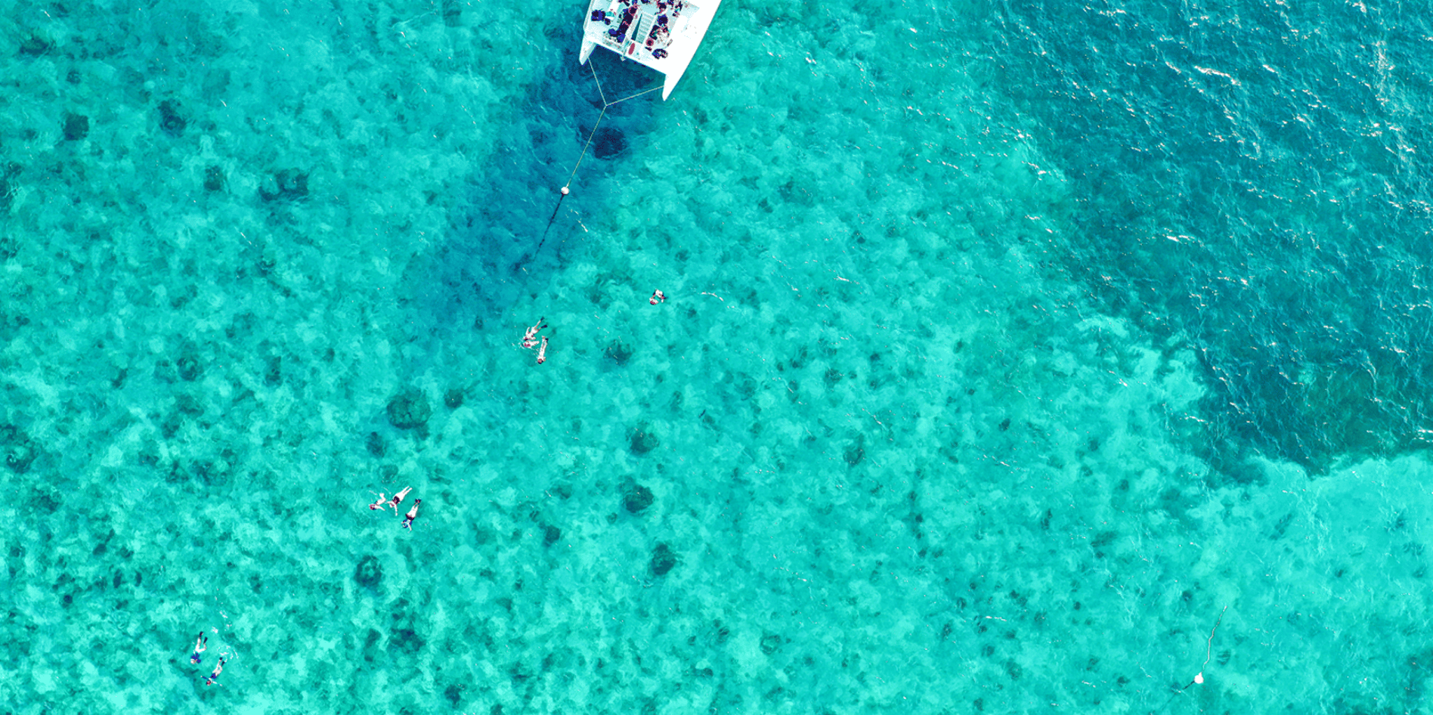 Key West Dolphin Watching and Snorkeling Sunset Cruise