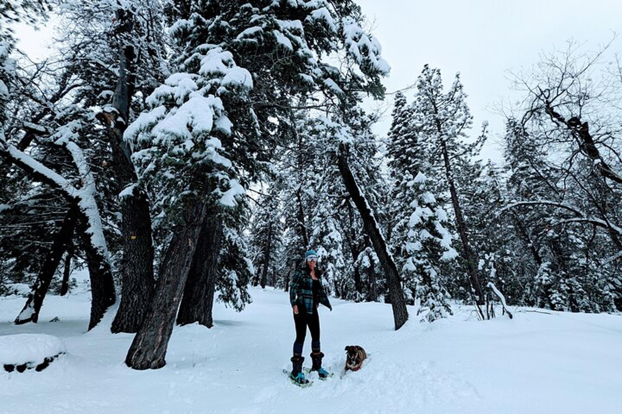 Big Bear Lake Snowshoe Tour with Hot Chocolate - Image 6