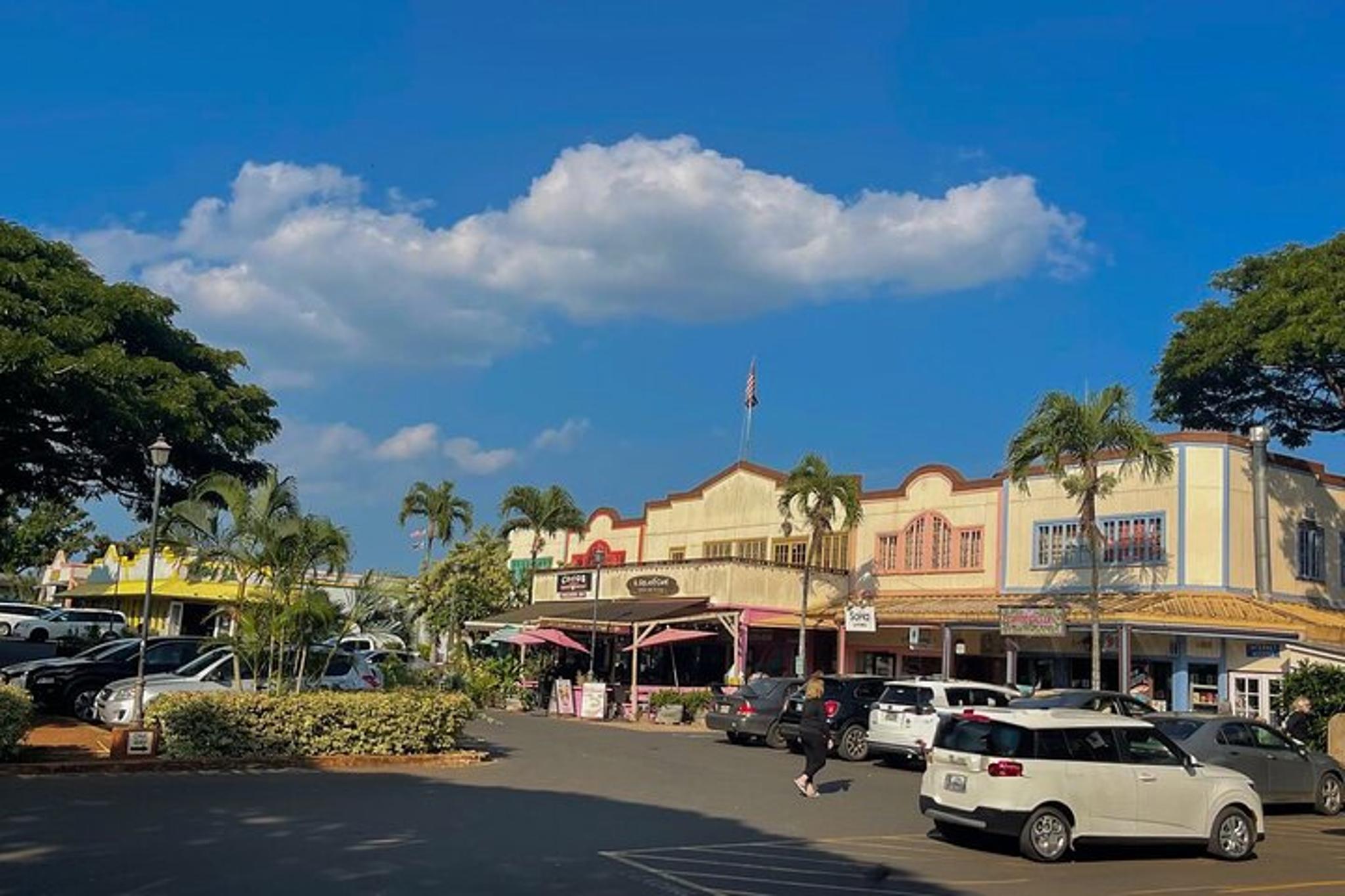 Oahu Private Tour North Shore and Waimea Falls - Image 2