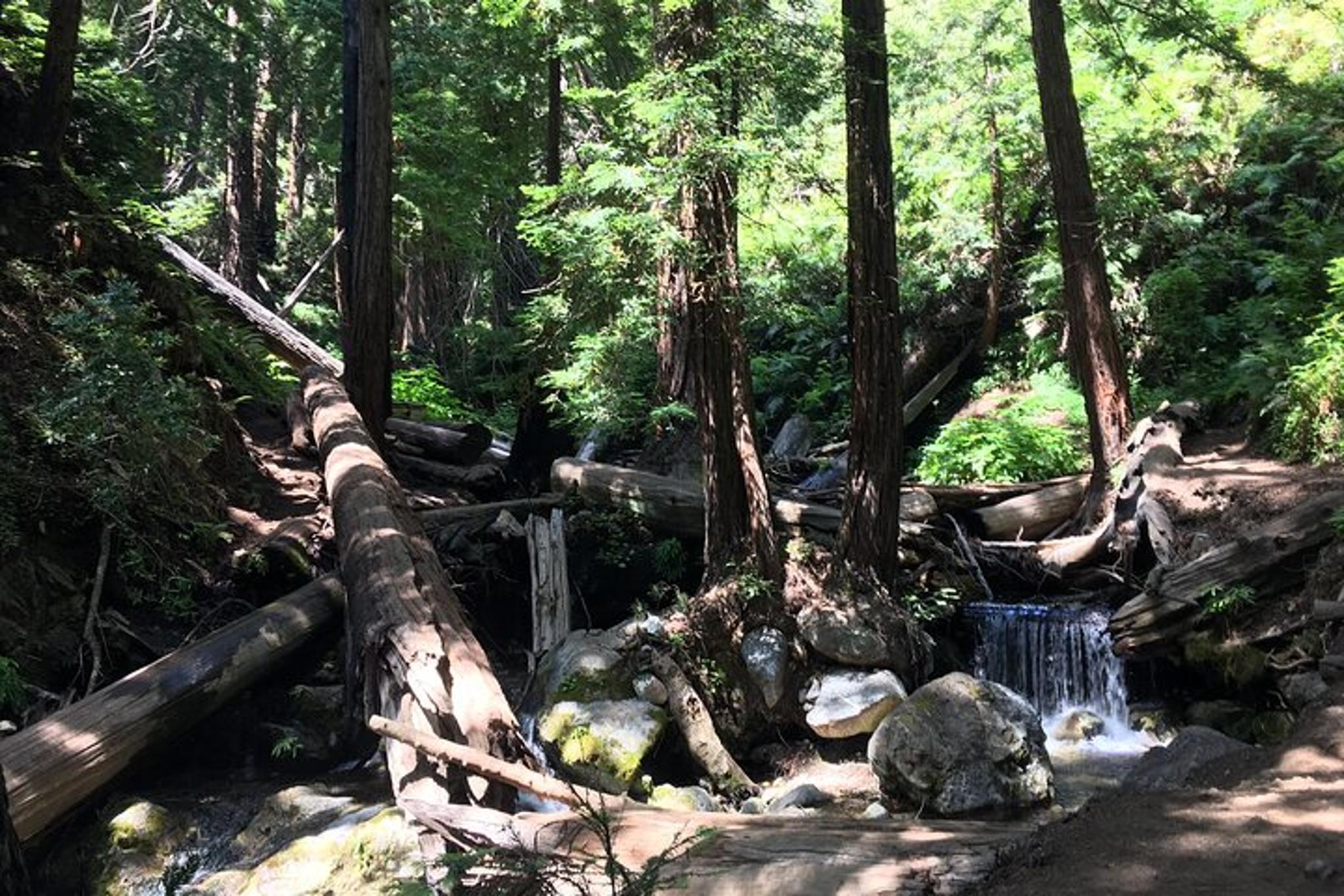 Big Sur Hiking Adventure - Image 4
