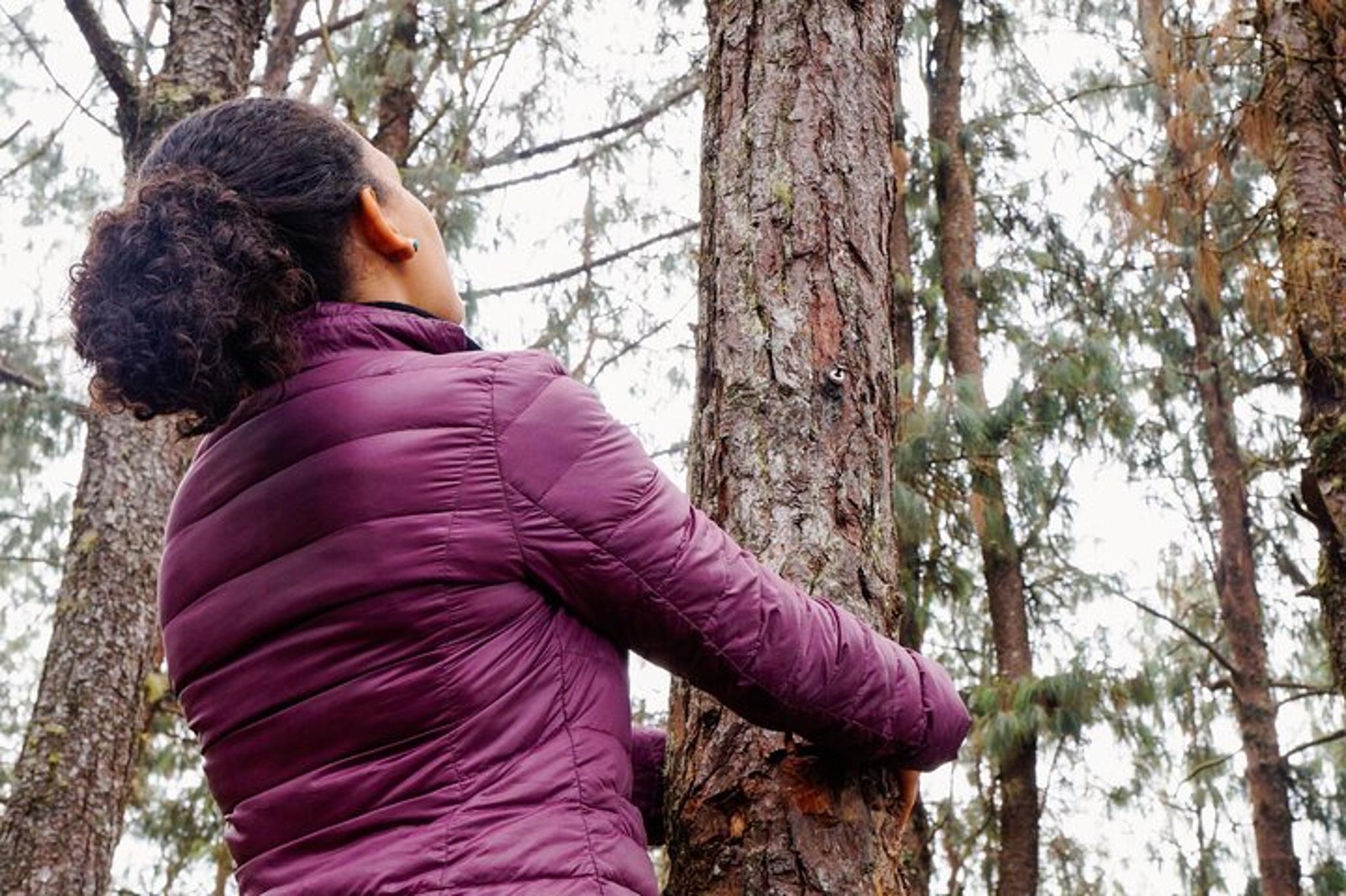 Woodland Park Forest Bathing Session - Image 3