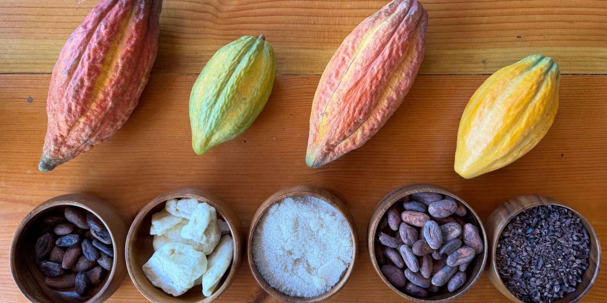 Oahu Chocolate Farm Tour with Tasting - Image 6