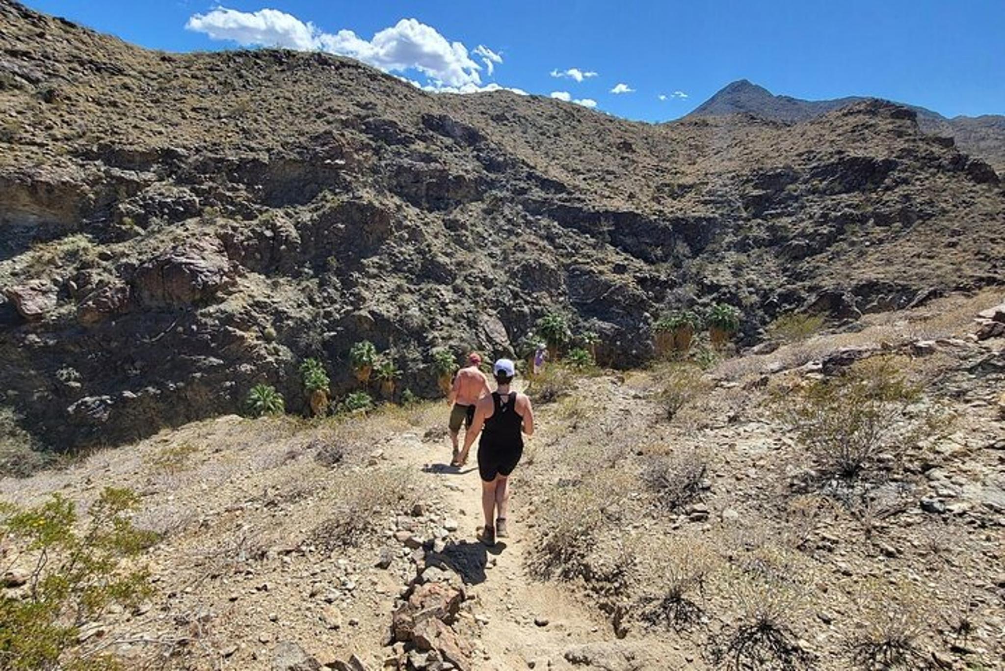Palm Springs Oasis Hike and Desert Views - Image 6