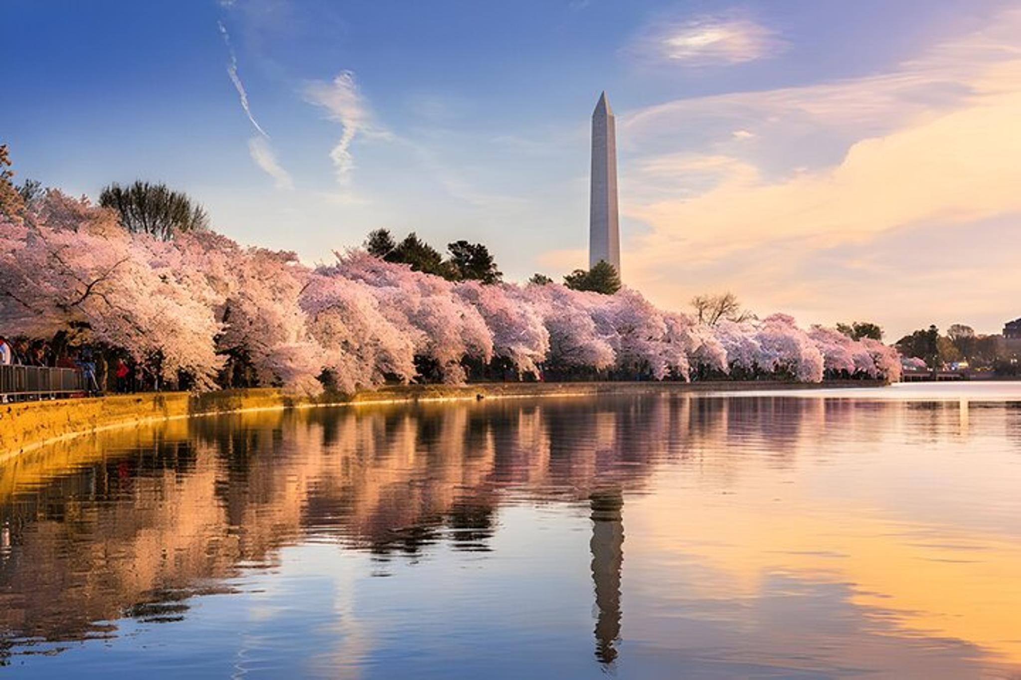 Washington DC City Monuments Tour - Image 5