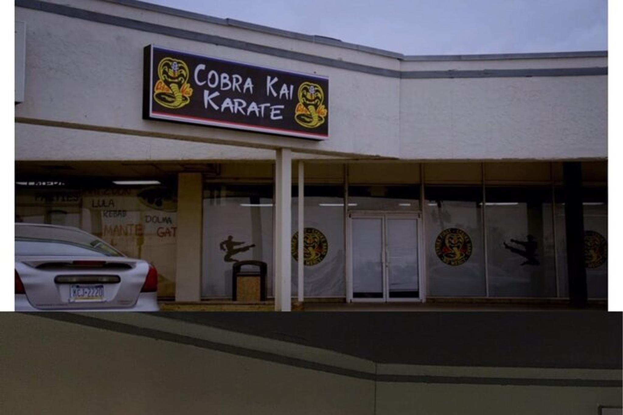 Atlanta Cobra Kai Film Locations Tour Half Day - Image 5