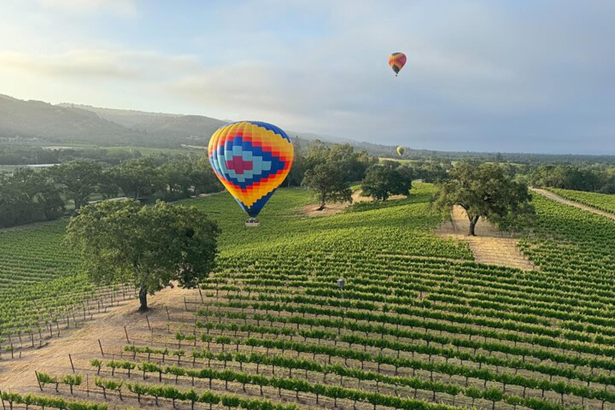 Sonoma Balloon Flight - Image 2