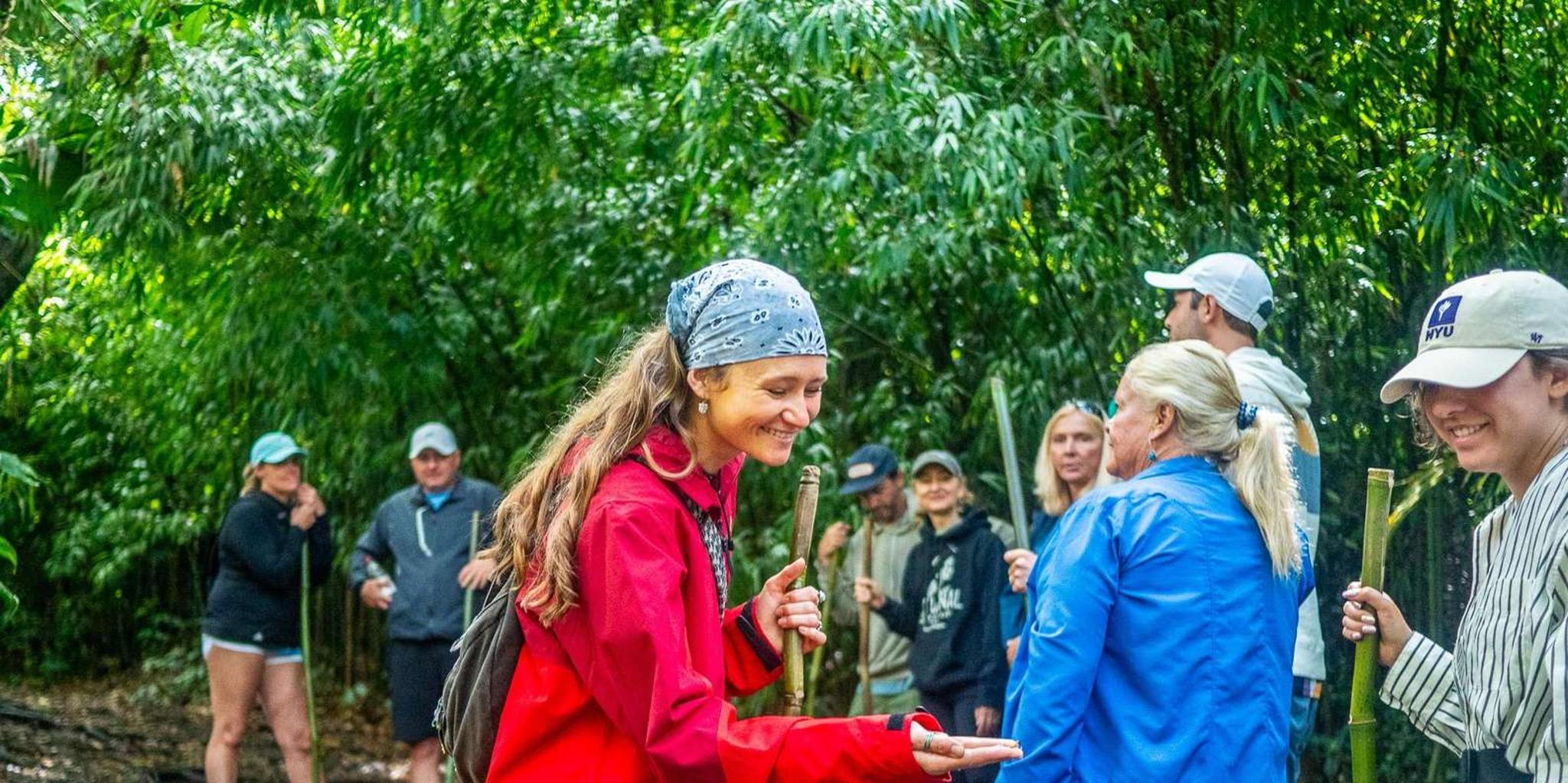 Kona Cloud Forest Sanctuary Montane Jungle Tour 2.5 hr - Image 6