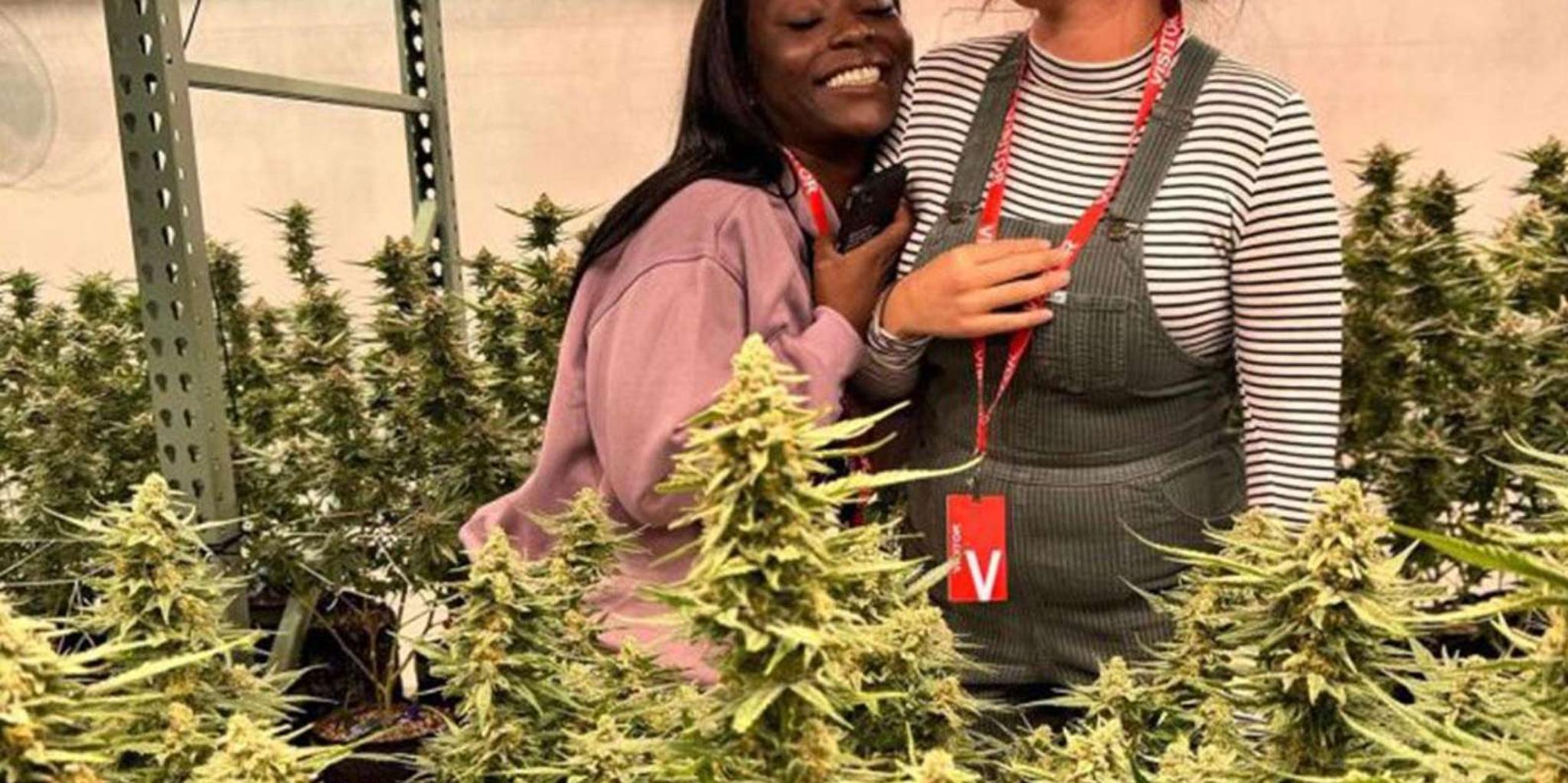 Denver Cannabis Tour - Image 3