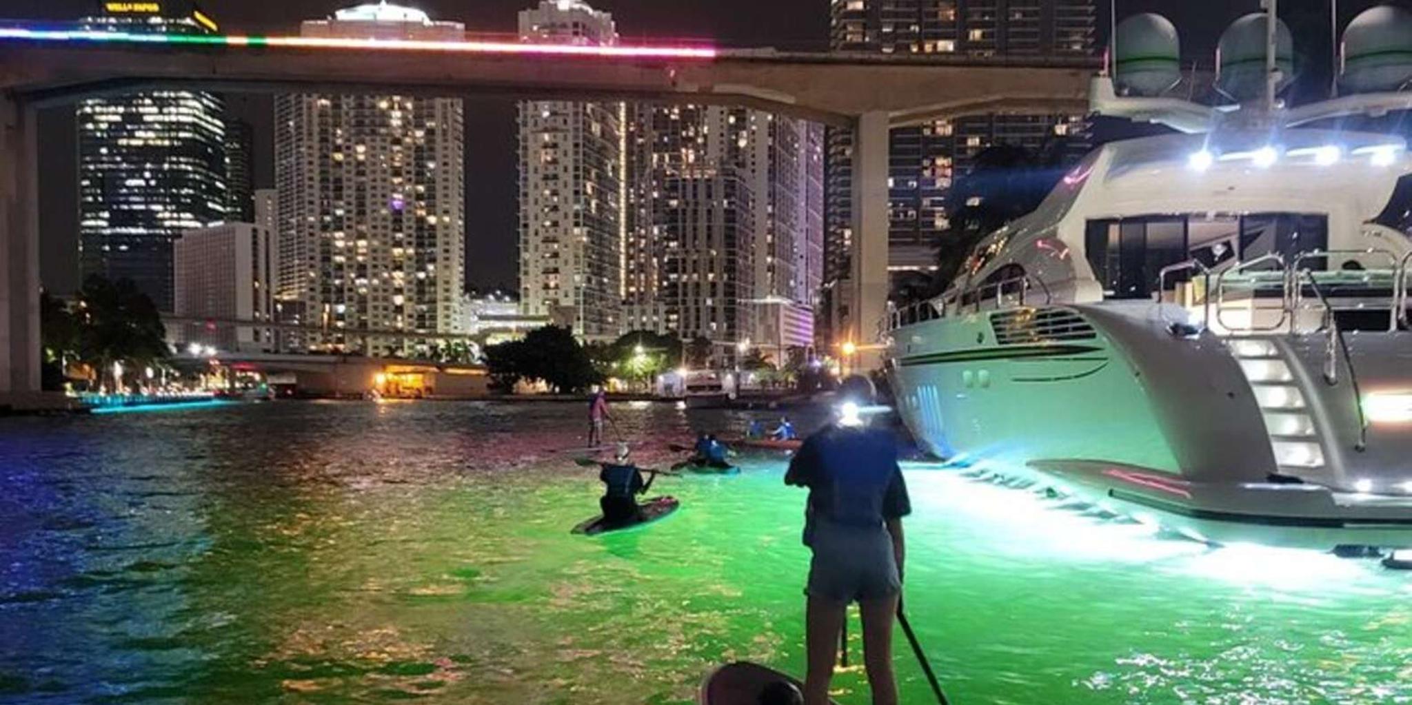 Miami City Lights Night SUP or Kayak Tour - Image 5