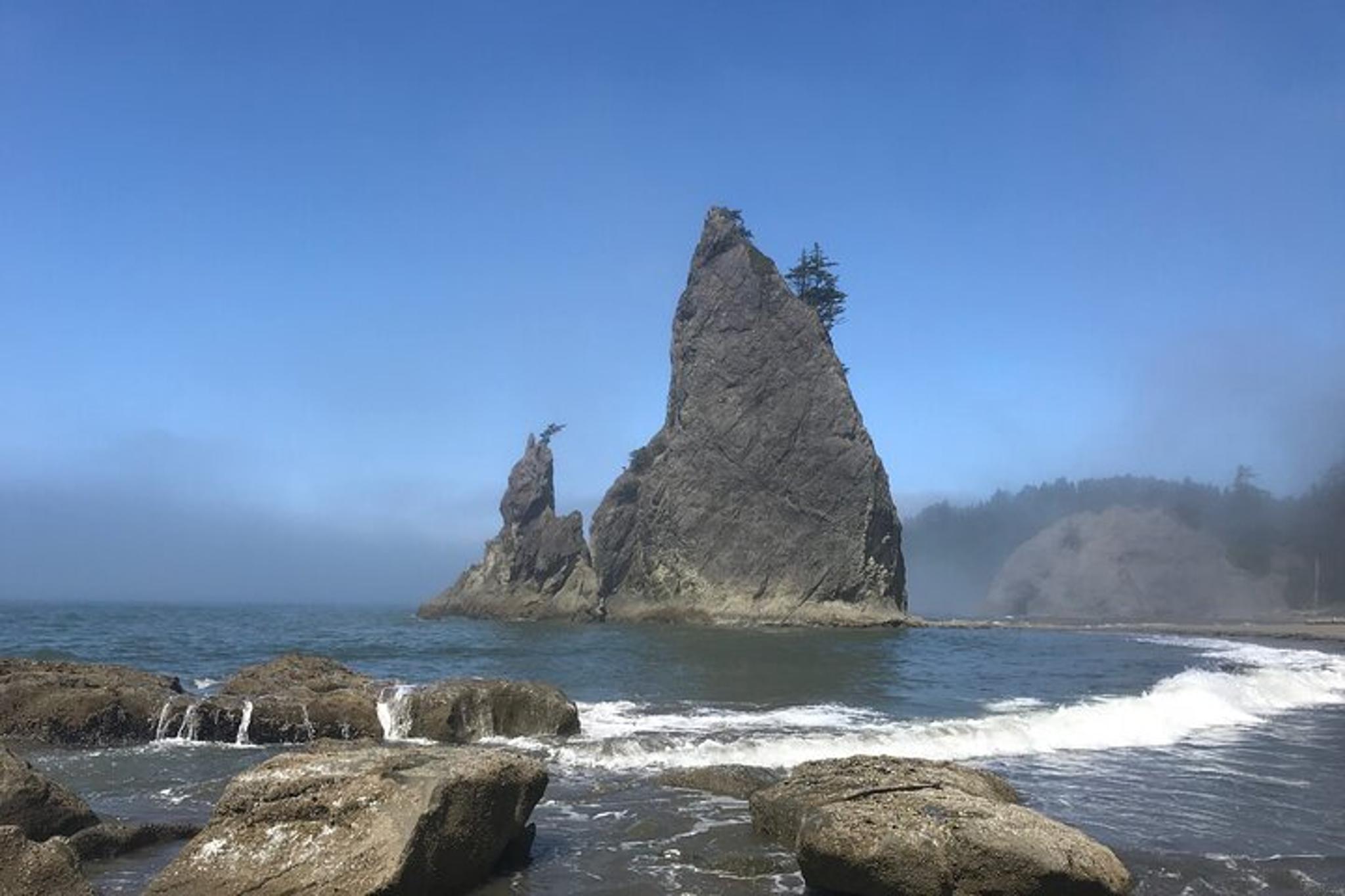Rialto Beach Tide Pooling Hike