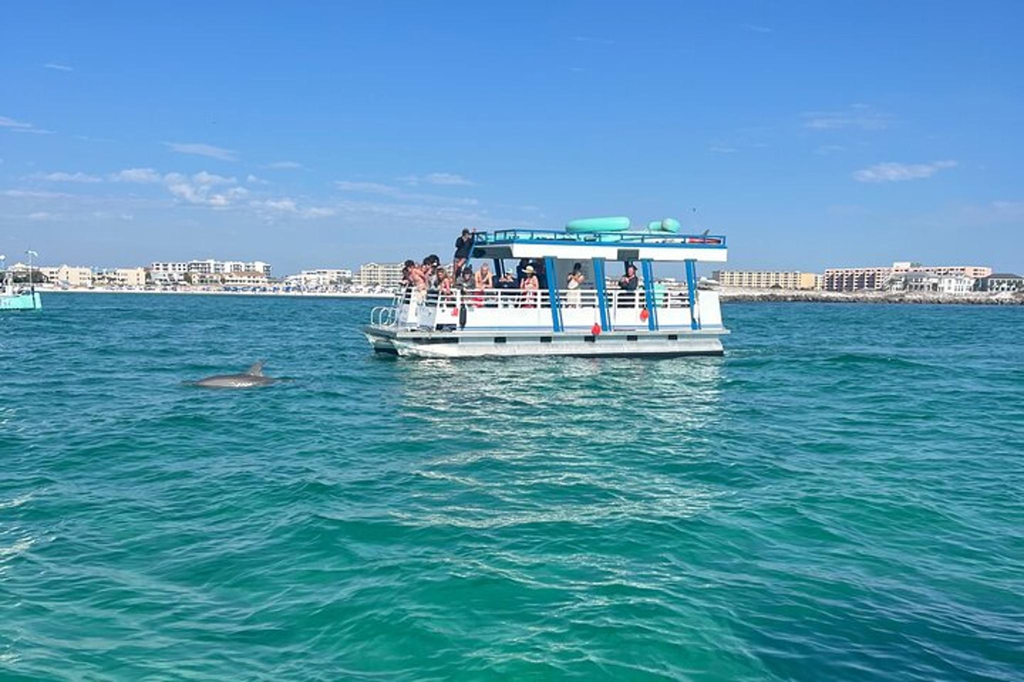 Destin Harbor Dolphin Watching Tour 1 hr