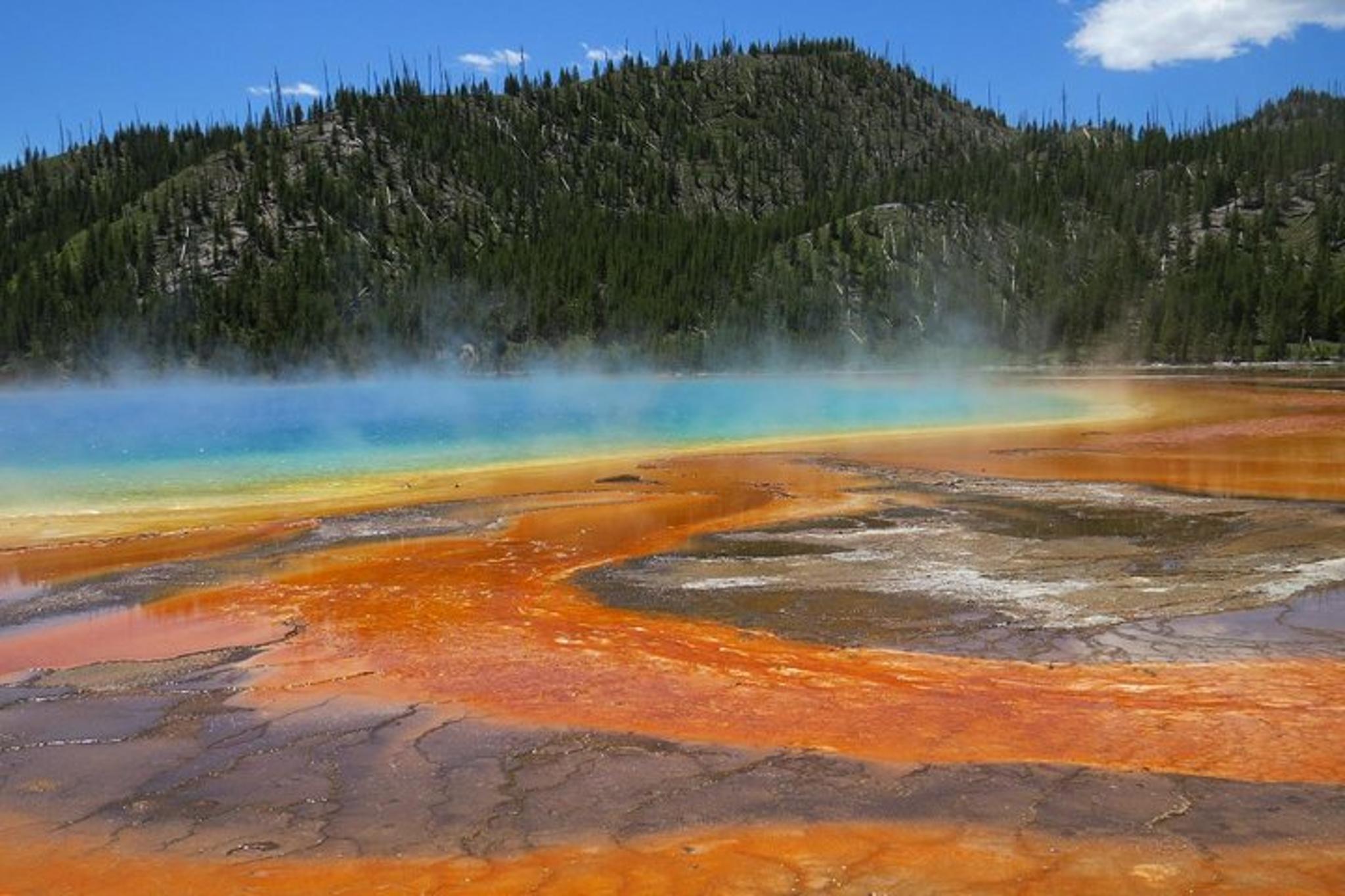 Yellowstone National Park Private Tour 2 Days - Image 6