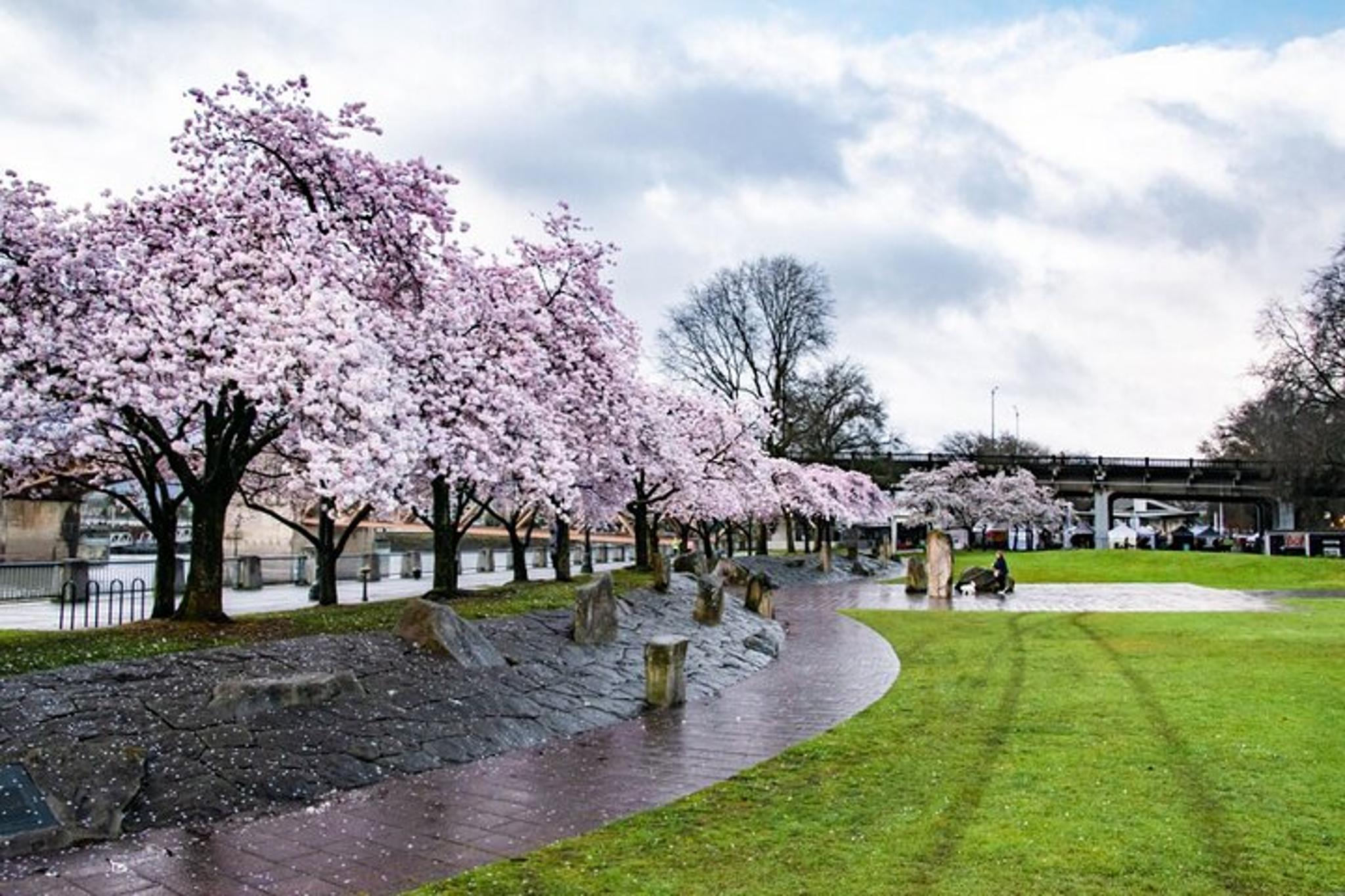 Portland Bicycle Tour - Image 2