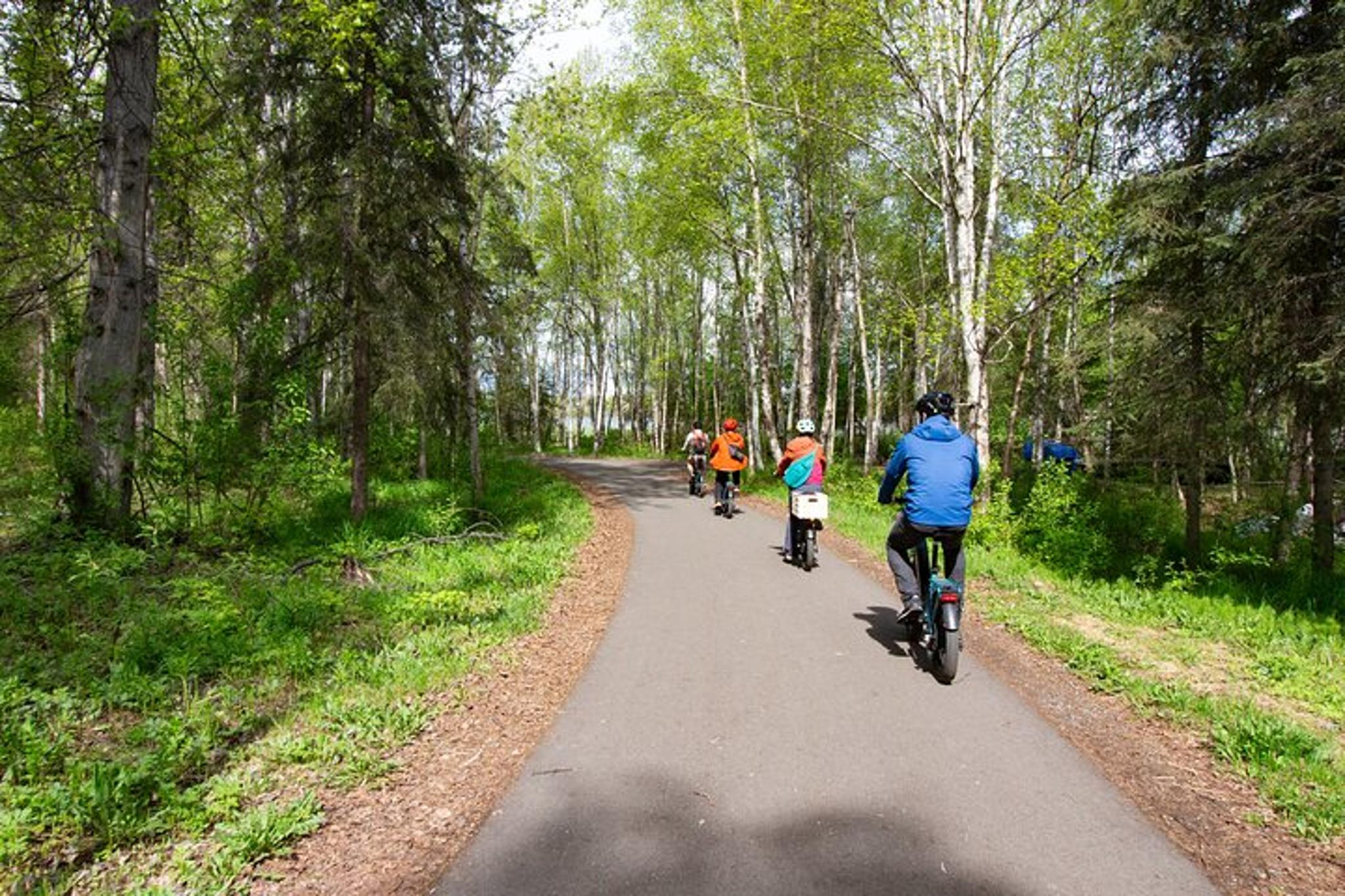 Anchorage eBike History Tour - Image 2