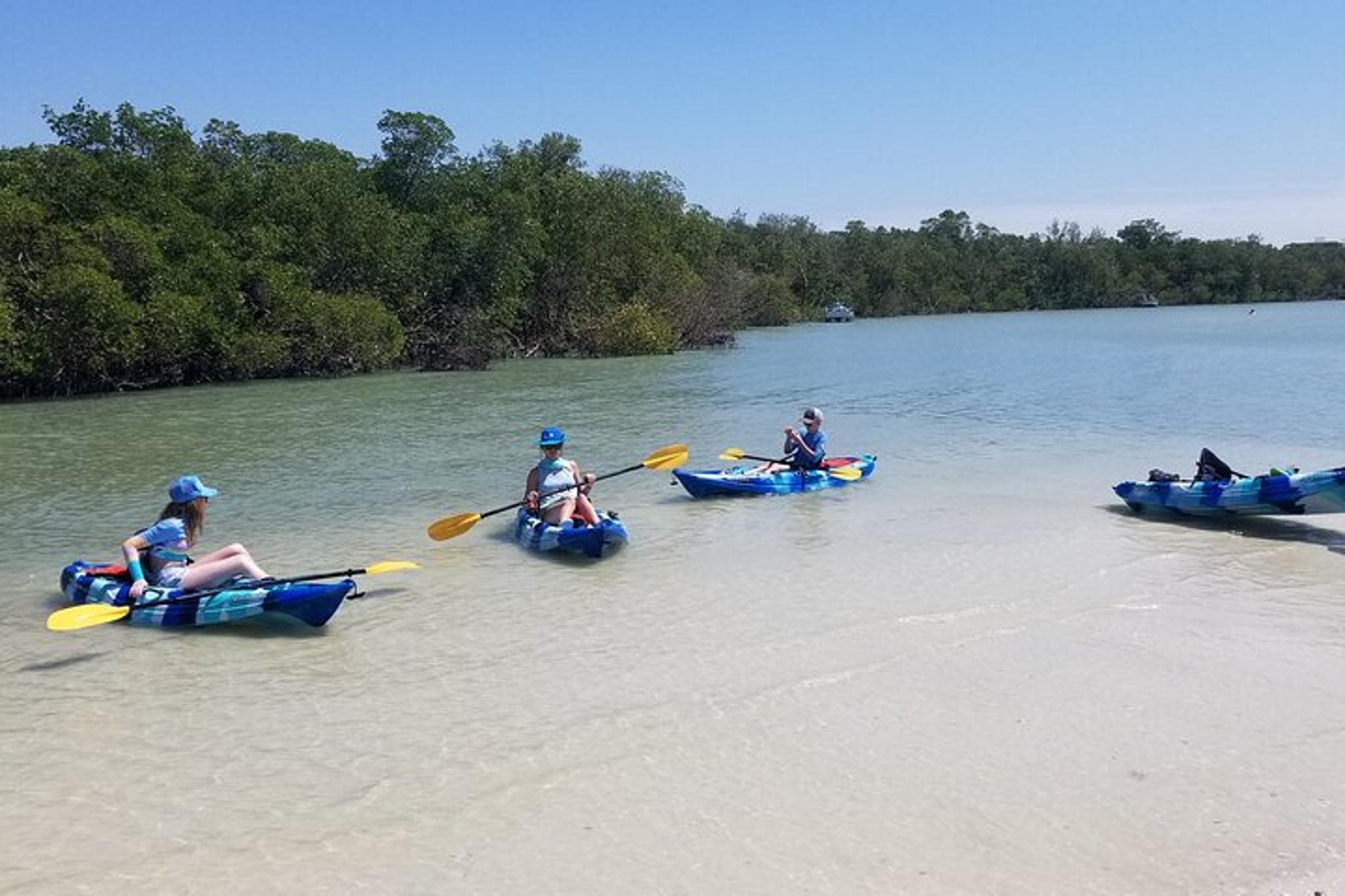Bonita Springs Kayak Tour on Big Hickory Pass 2.5 Hr - Image 4
