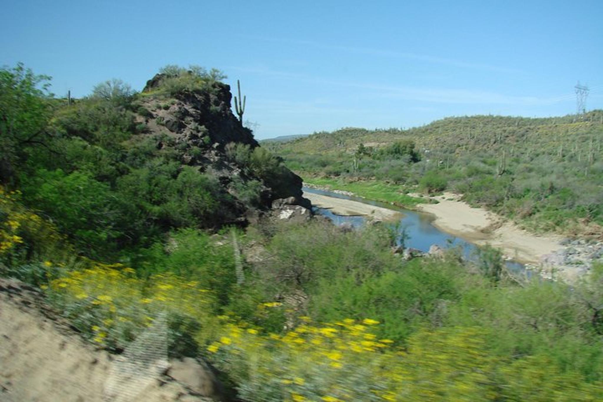 Old West Horseback Adventure with Cowboy Lunch - Image 3