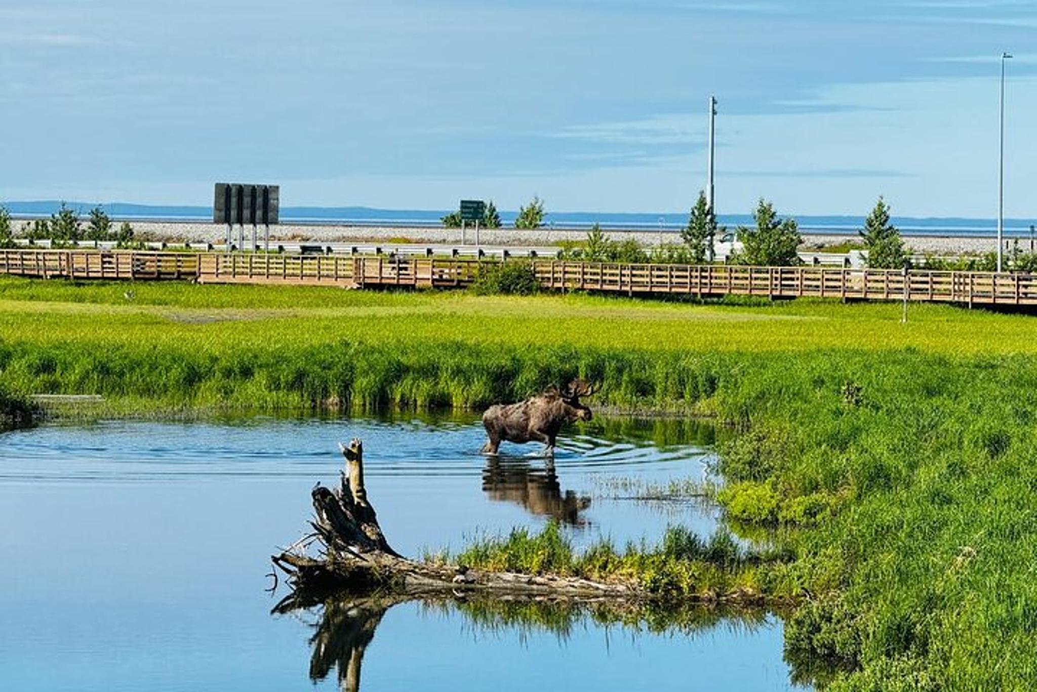 Whittier to Anchorage Land Transfer Tour - Image 6