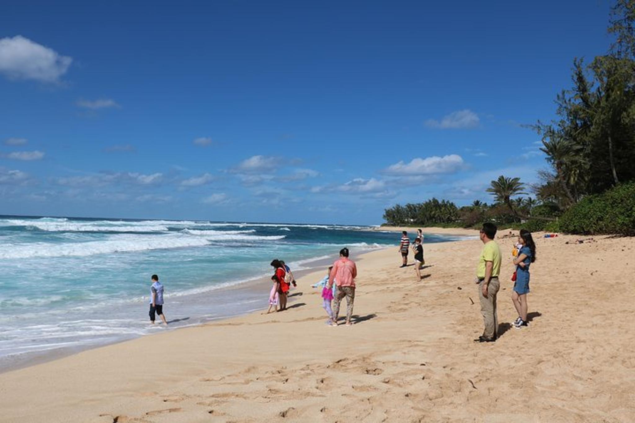 Oahu Private Island Tour: Waikiki, North Shore, Dole Plantation - Image 5