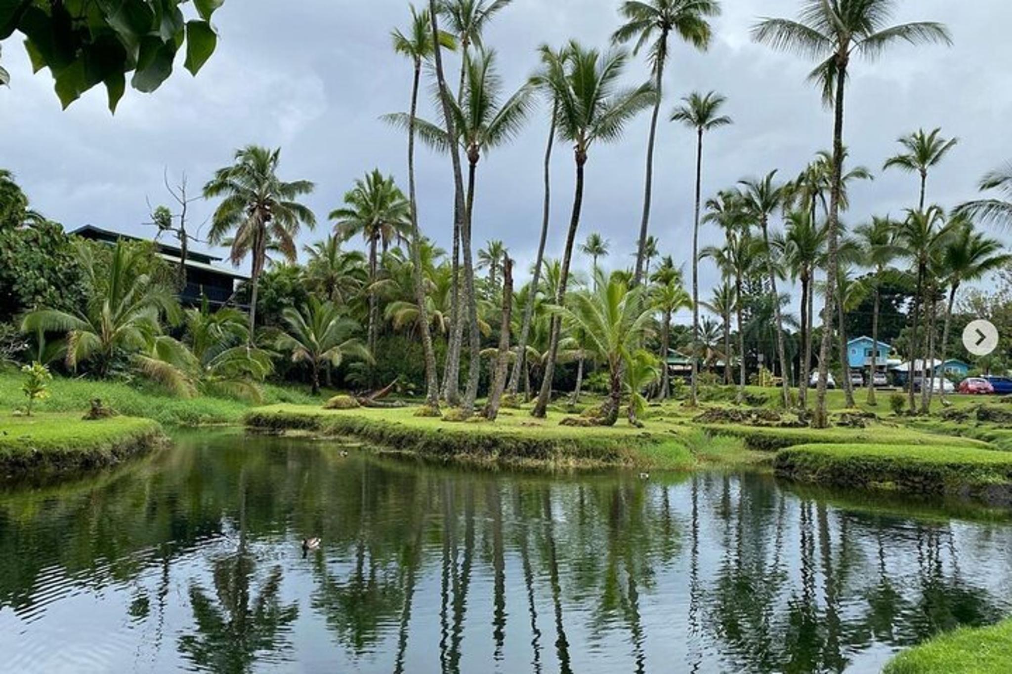 Hilo Bay Kayak Adventure - Image 4