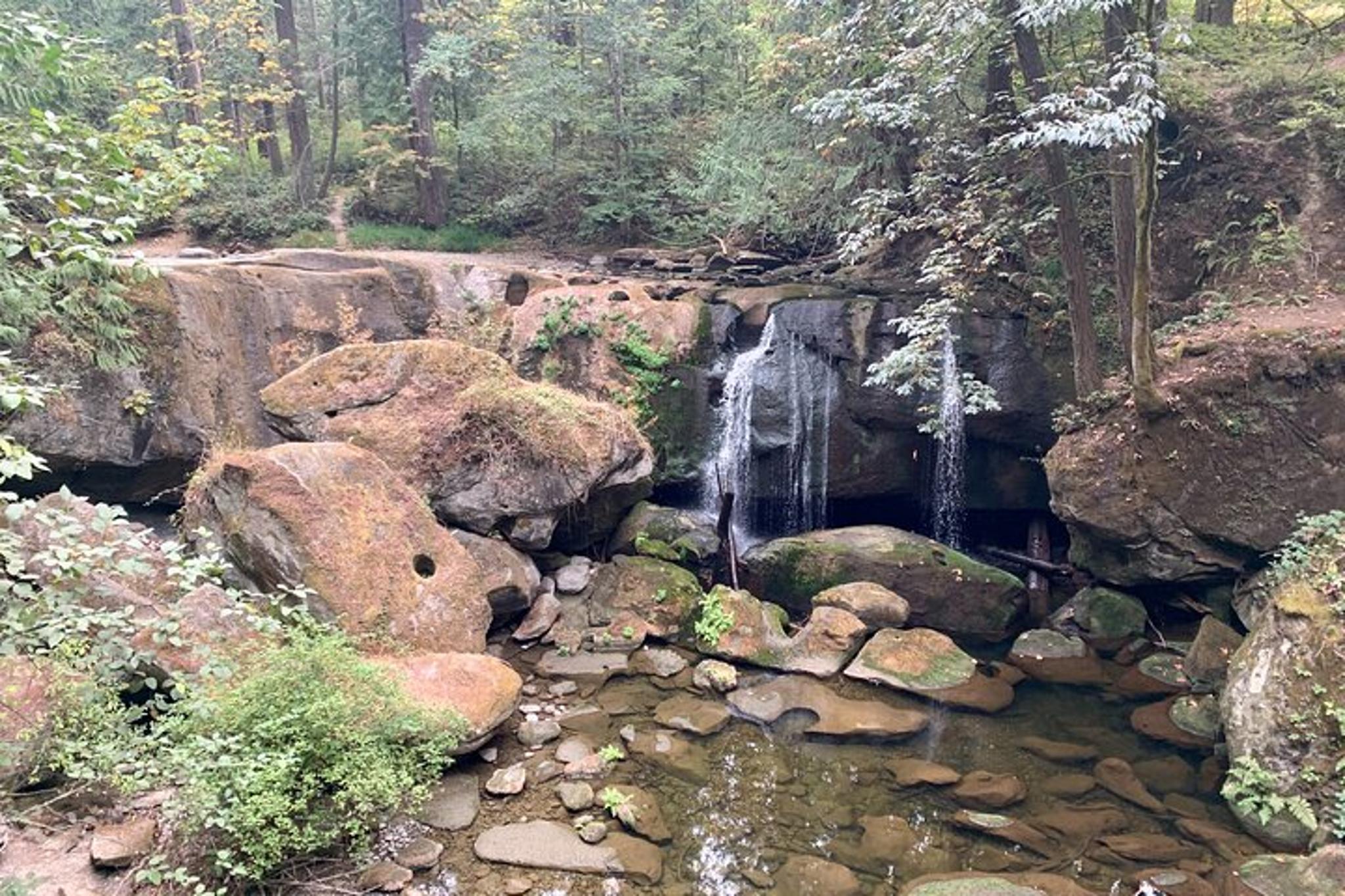 Bellingham Scavenger Hunt - Image 6